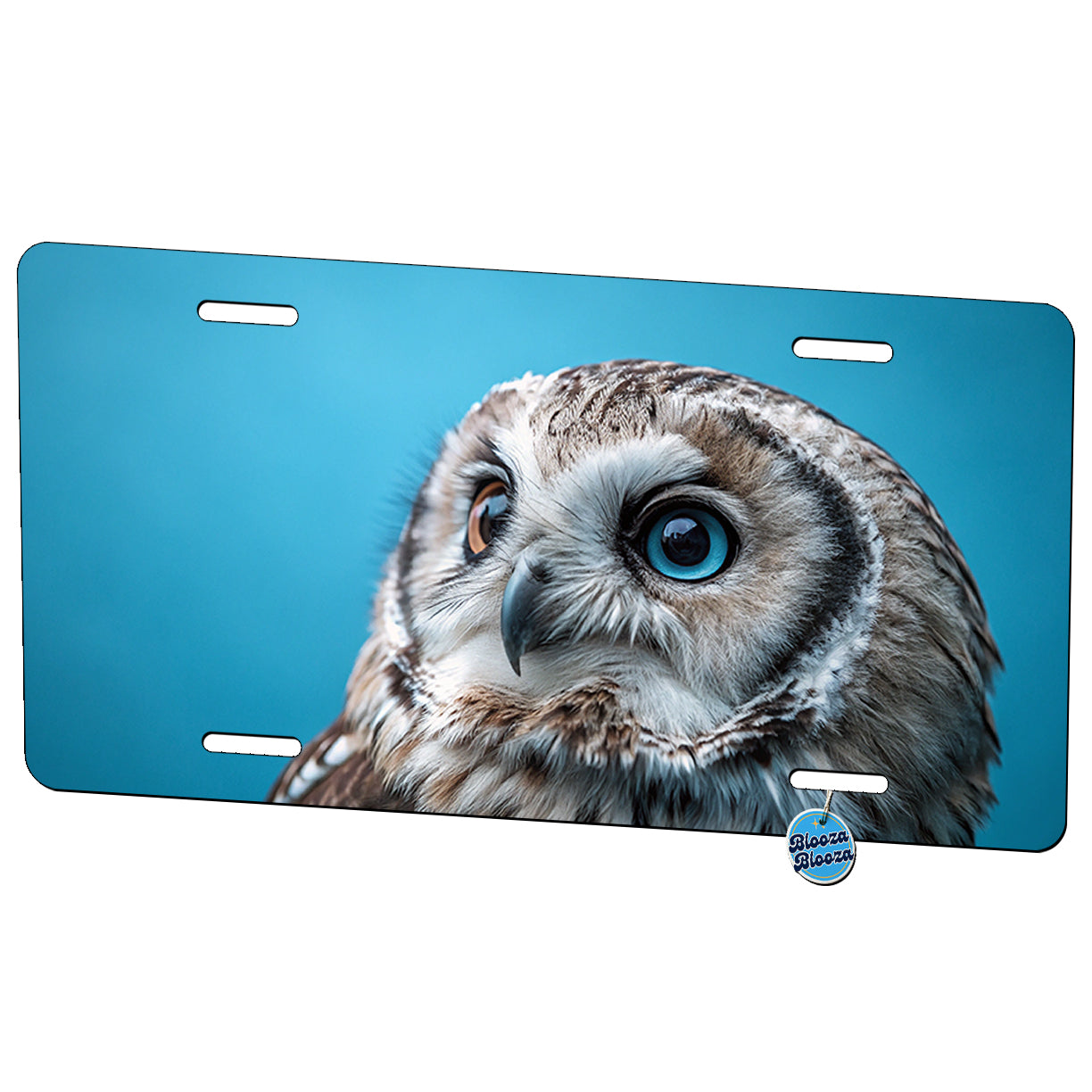 Owl Face Blue Background Metal Vanity Novelty Tag License Plate for Trucks Cars SUVs