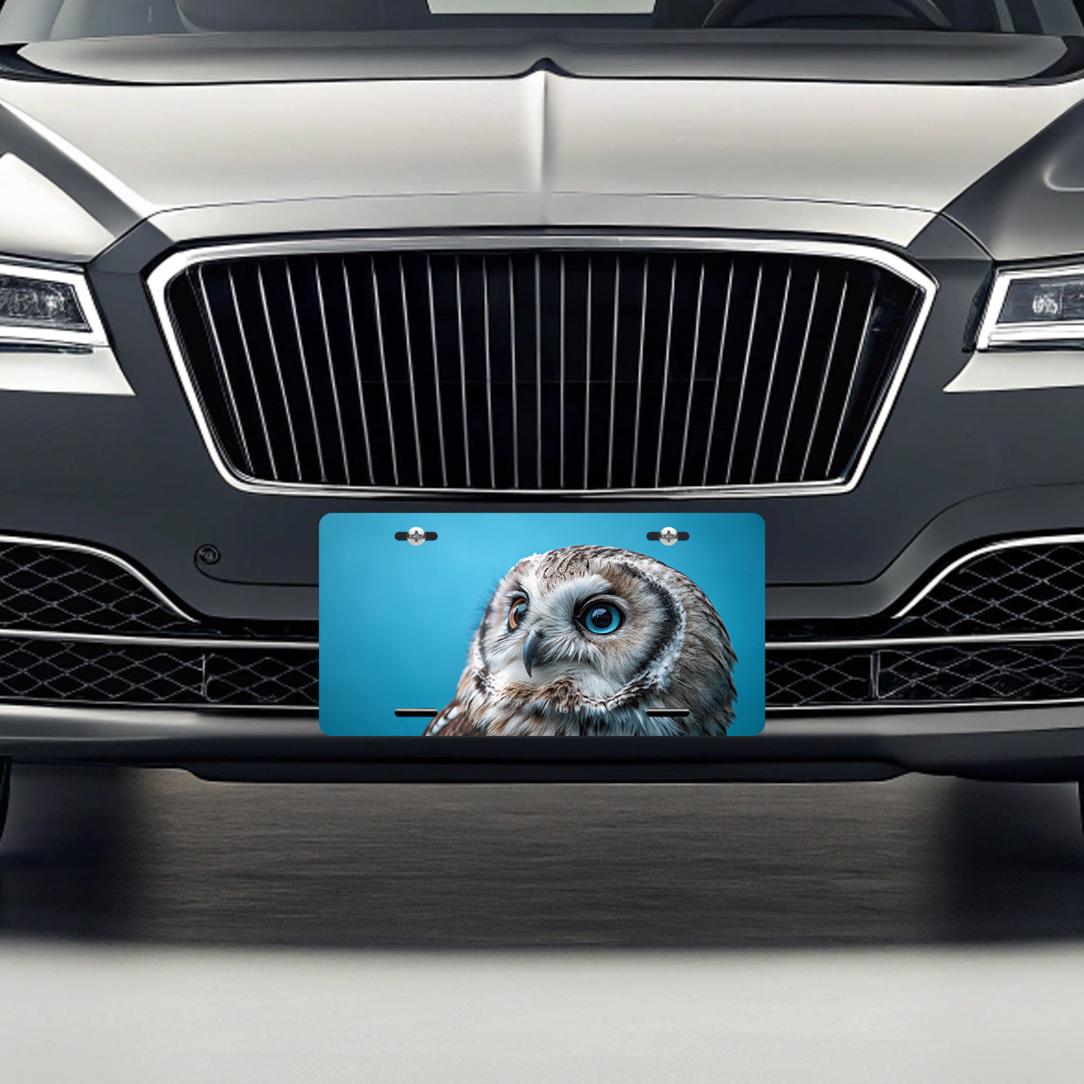 Owl Face Blue Background Metal Vanity Novelty Tag License Plate for Trucks Cars SUVs