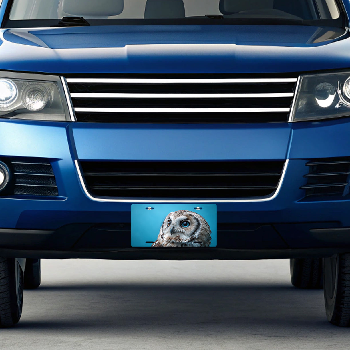 Owl Face Blue Background Metal Vanity Novelty Tag License Plate for Trucks Cars SUVs