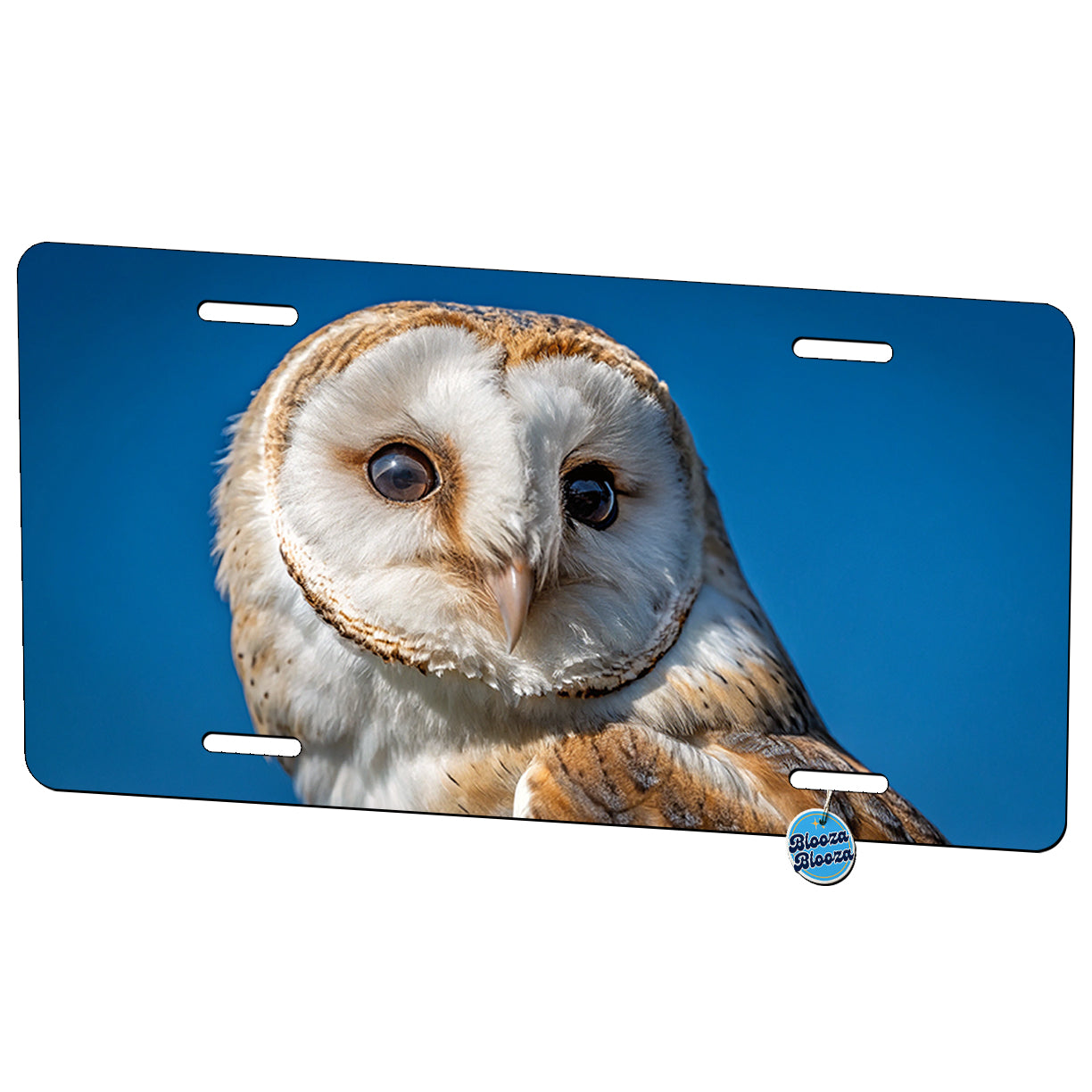 Owl Face White Tan Blue Background Metal Vanity Novelty Tag License Plate for Trucks Cars SUVs