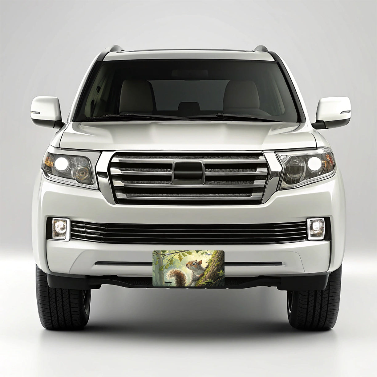 Peeking Squirrel in the Forest Metal Vanity Novelty Tag License Plate for Trucks Cars SUVs