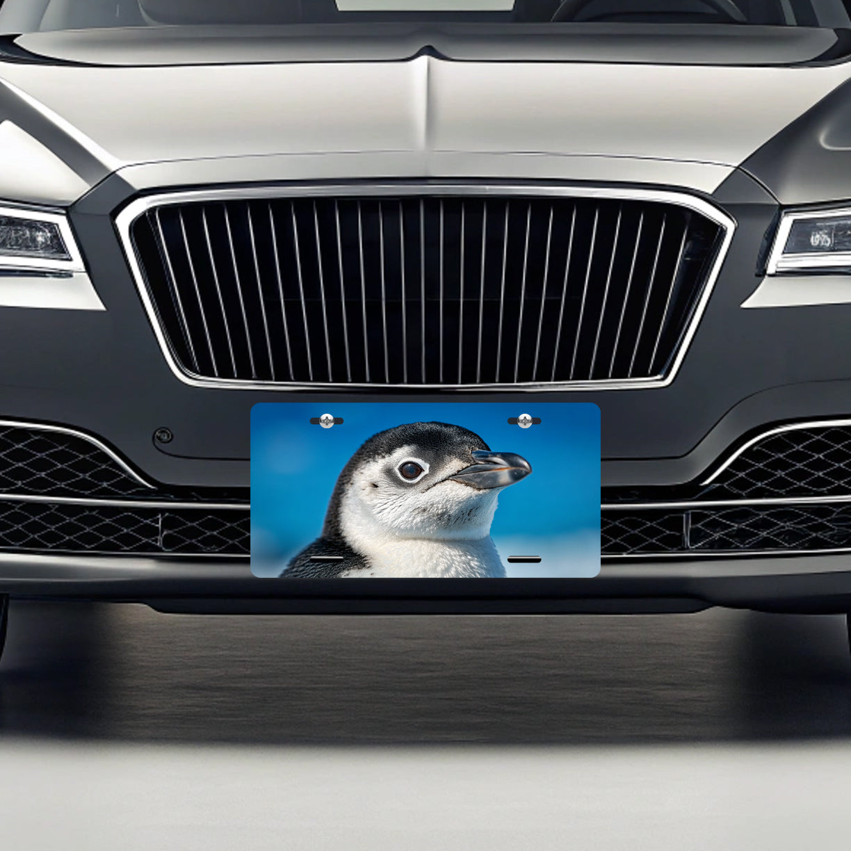 Penguin Face Blue Background Metal Vanity Novelty Tag License Plate for Trucks Cars SUVs