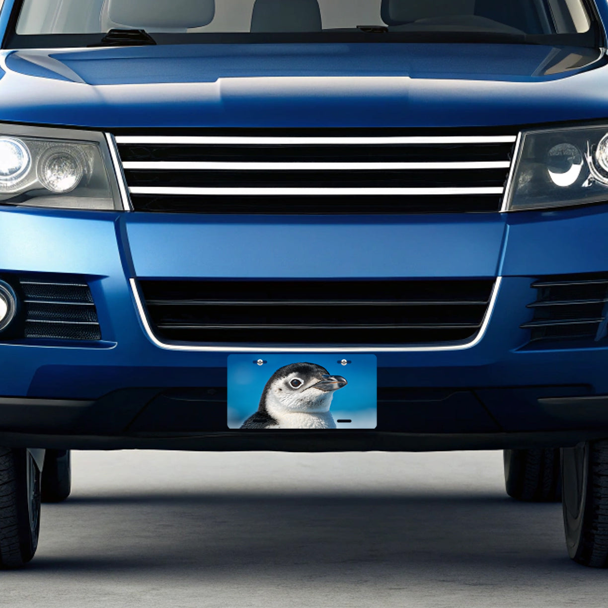 Penguin Face Blue Background Metal Vanity Novelty Tag License Plate for Trucks Cars SUVs