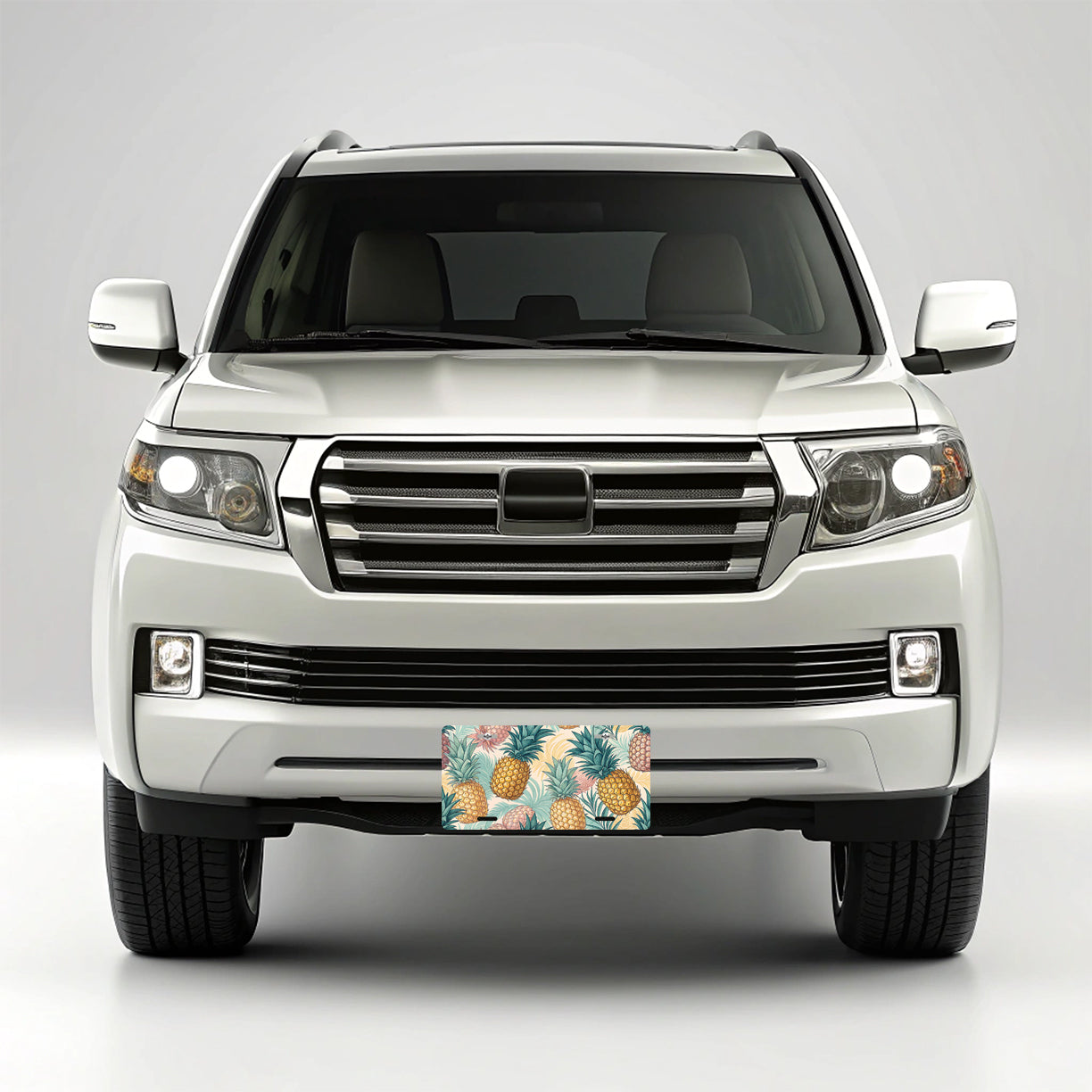 Pineapples Drawing Pattern Metal Vanity Novelty Tag License Plate for Trucks Cars SUVs