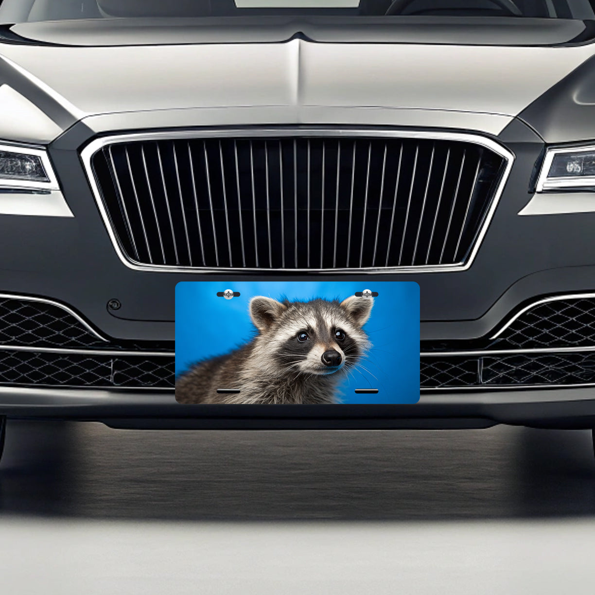 Raccoon Face Blue Background Metal Vanity Novelty Tag License Plate for Trucks Cars SUVs