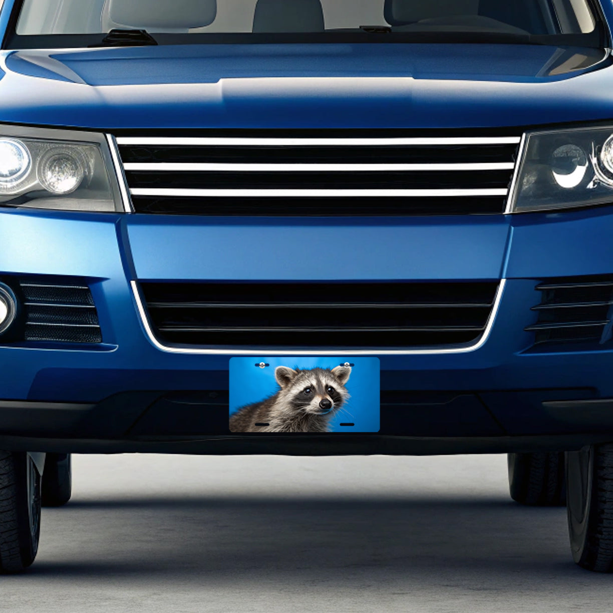Raccoon Face Blue Background Metal Vanity Novelty Tag License Plate for Trucks Cars SUVs