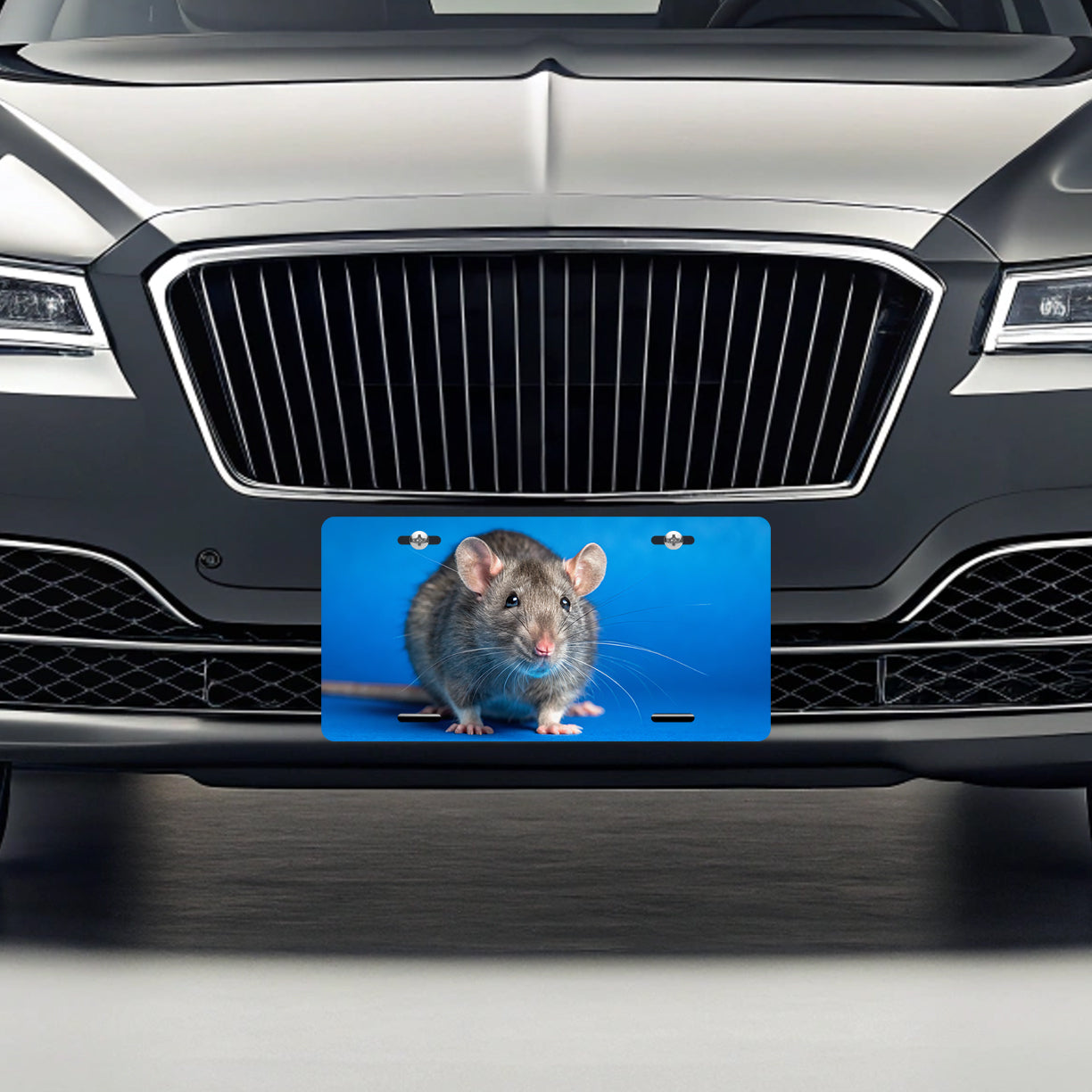 Rat Face Blue Background Metal Vanity Novelty Tag License Plate for Trucks Cars SUVs
