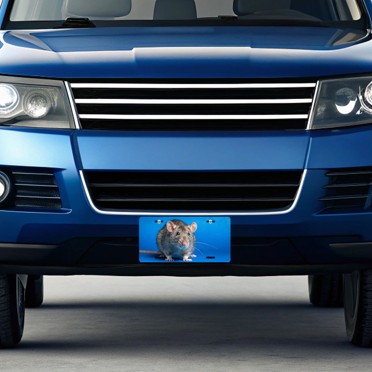 Rat Face Blue Background Metal Vanity Novelty Tag License Plate for Trucks Cars SUVs