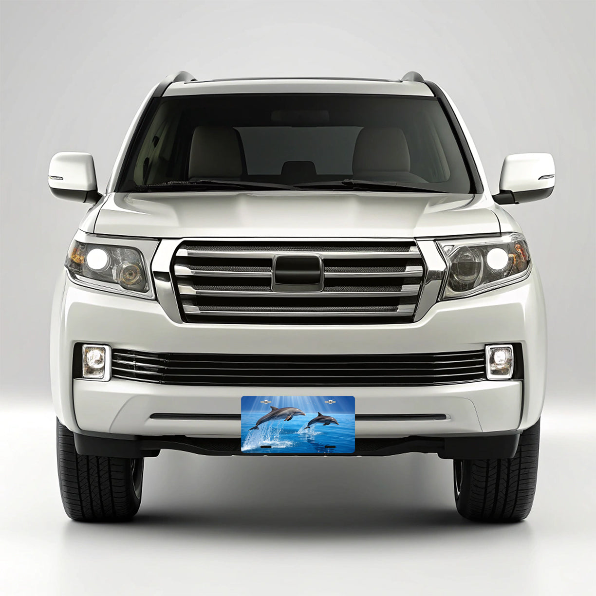 Sea Dolphins Swimming Ocean Metal Vanity Novelty Tag License Plate for Trucks Cars SUVs