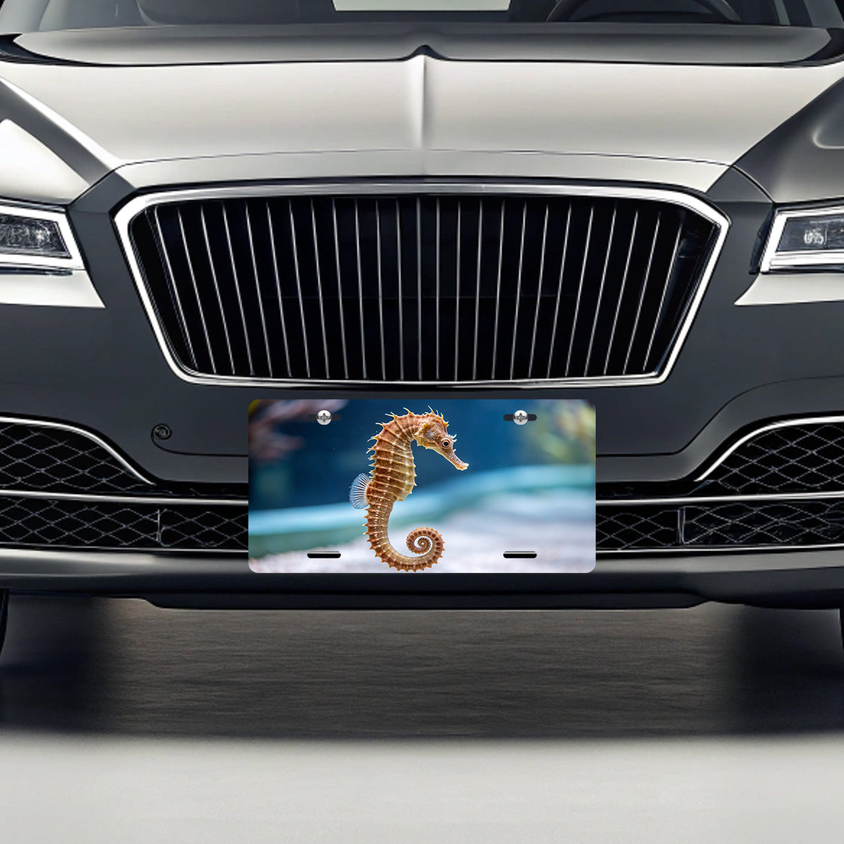 Sea Horse Ocean Cute Metal Vanity Novelty Tag License Plate for Trucks Cars SUVs
