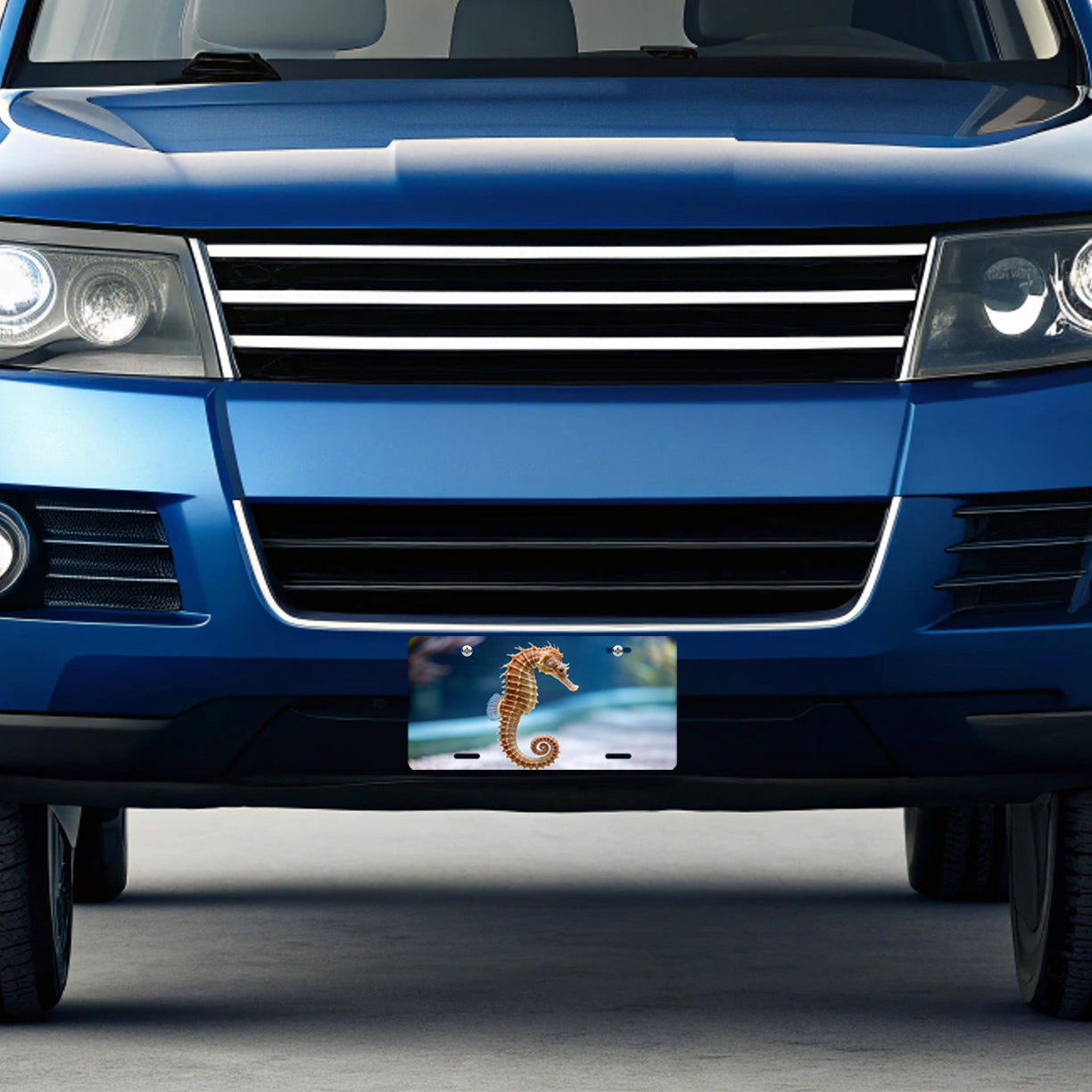 Sea Horse Ocean Cute Metal Vanity Novelty Tag License Plate for Trucks Cars SUVs