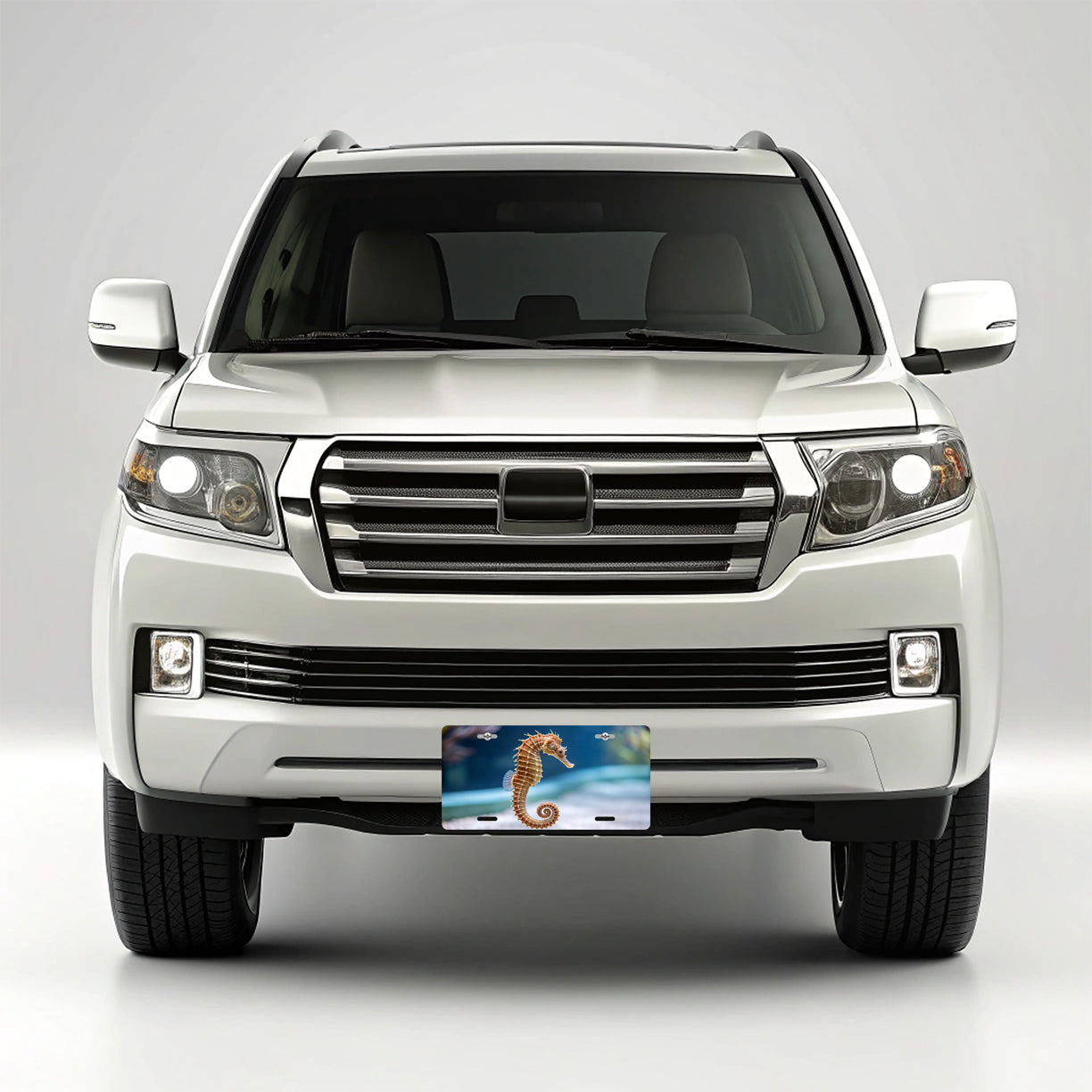 Sea Horse Ocean Cute Metal Vanity Novelty Tag License Plate for Trucks Cars SUVs
