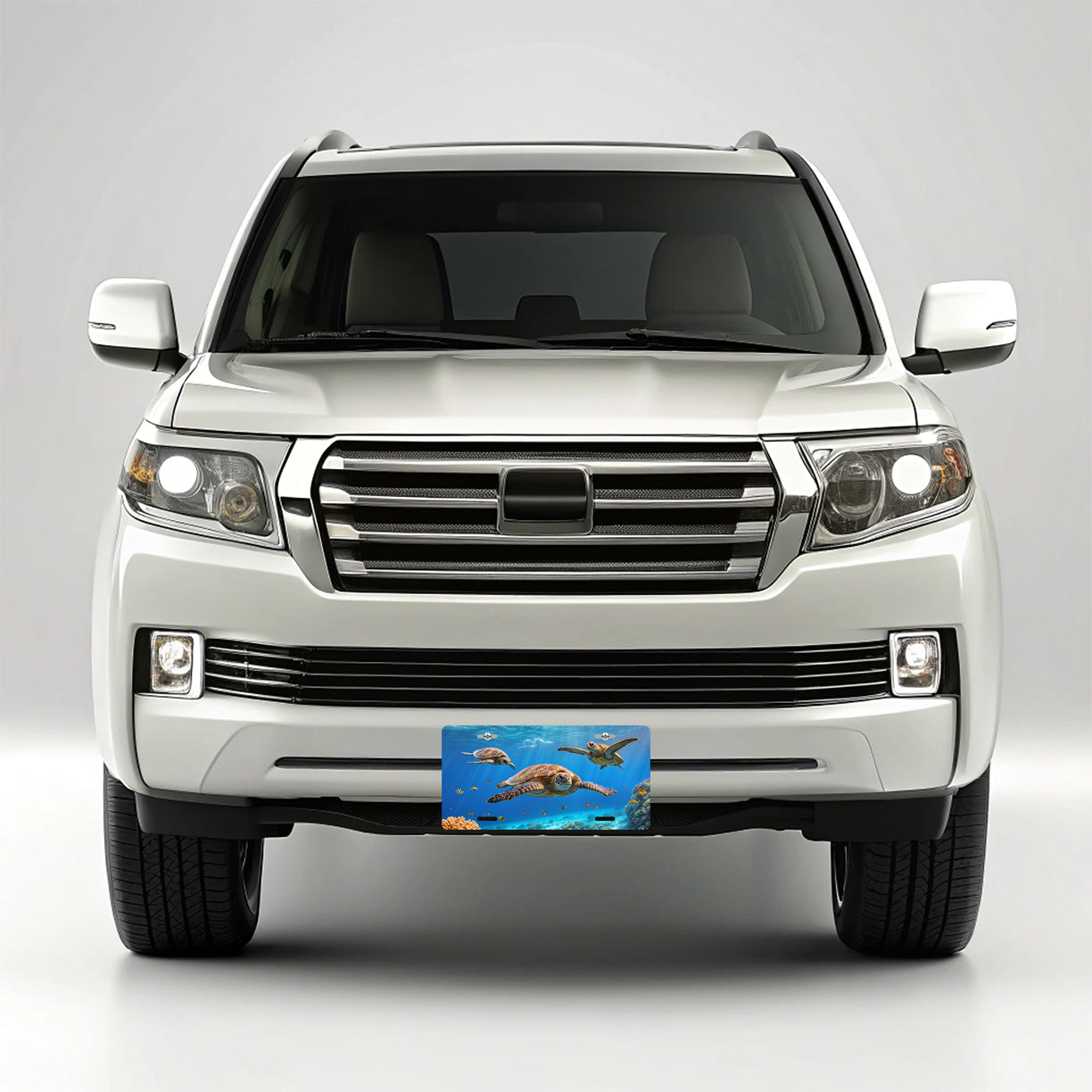 Sea Turtles Swimming Under Water Ocean Metal Vanity Novelty Tag License Plate for Trucks Cars SUVs