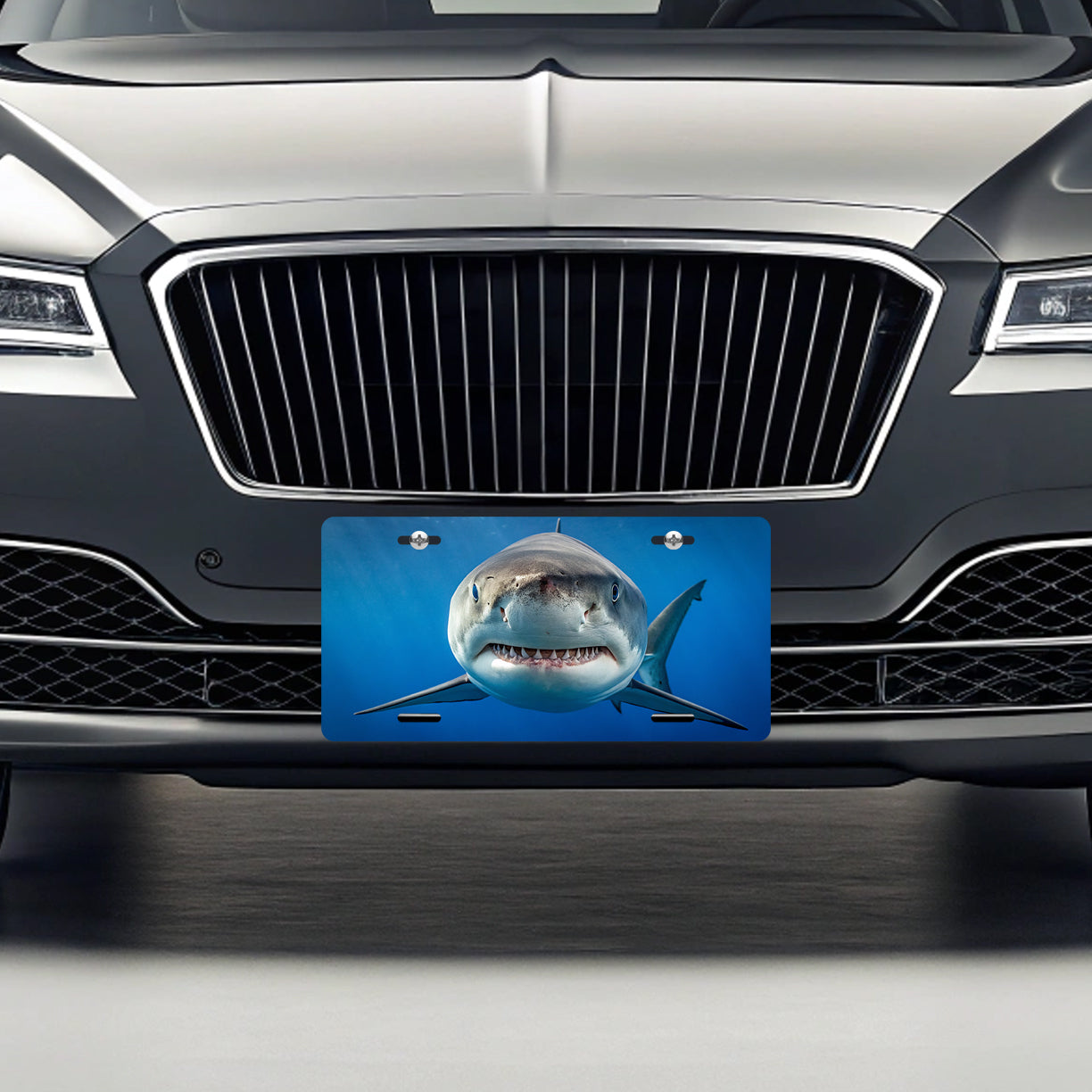 Shark Face Blue Background Metal Vanity Novelty Tag License Plate for Trucks Cars SUVs