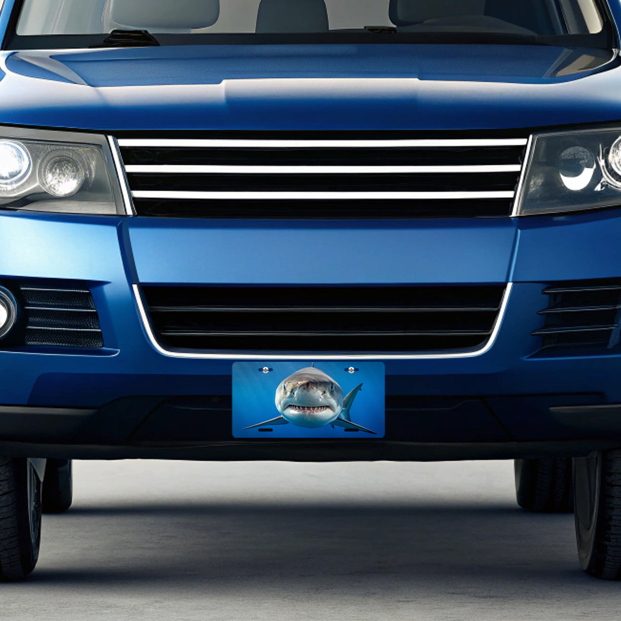 Shark Face Blue Background Metal Vanity Novelty Tag License Plate for Trucks Cars SUVs