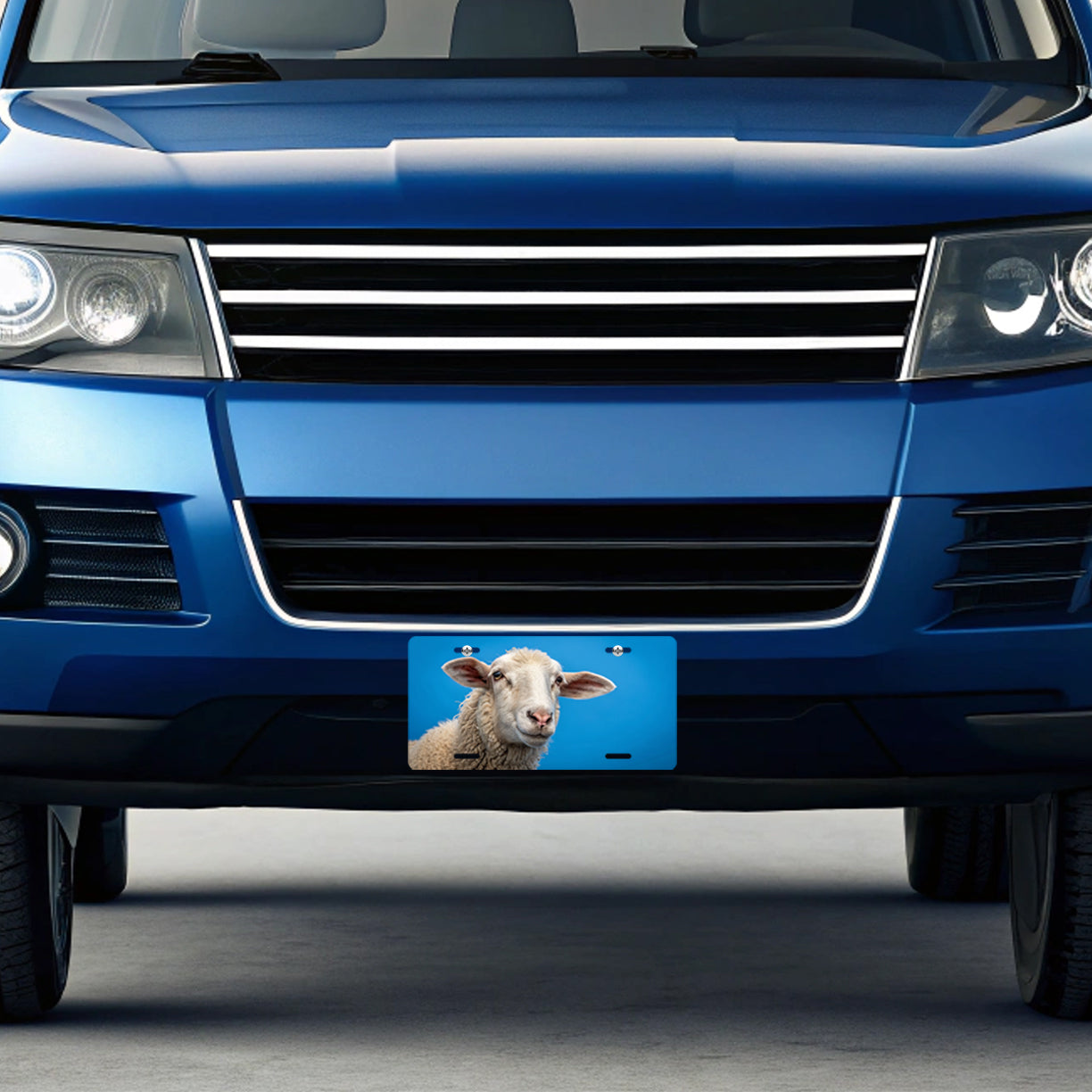 Sheep Face Blue Background Metal Vanity Novelty Tag License Plate for Trucks Cars SUVs