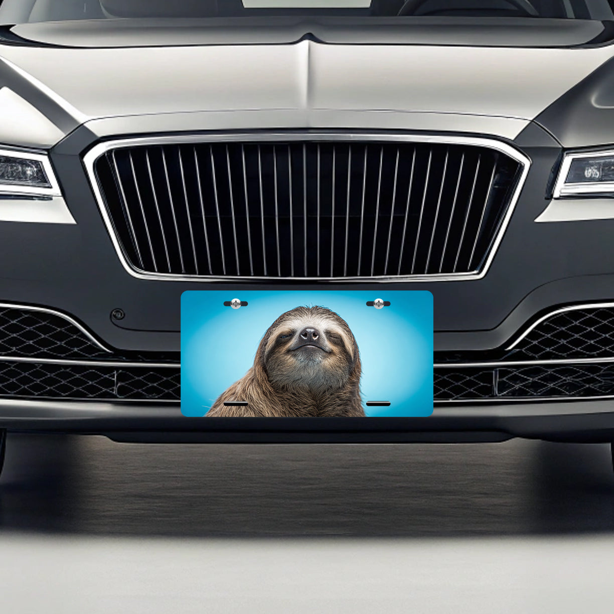 Sloth Face Blue Background Metal Vanity Novelty Tag License Plate for Trucks Cars SUVs