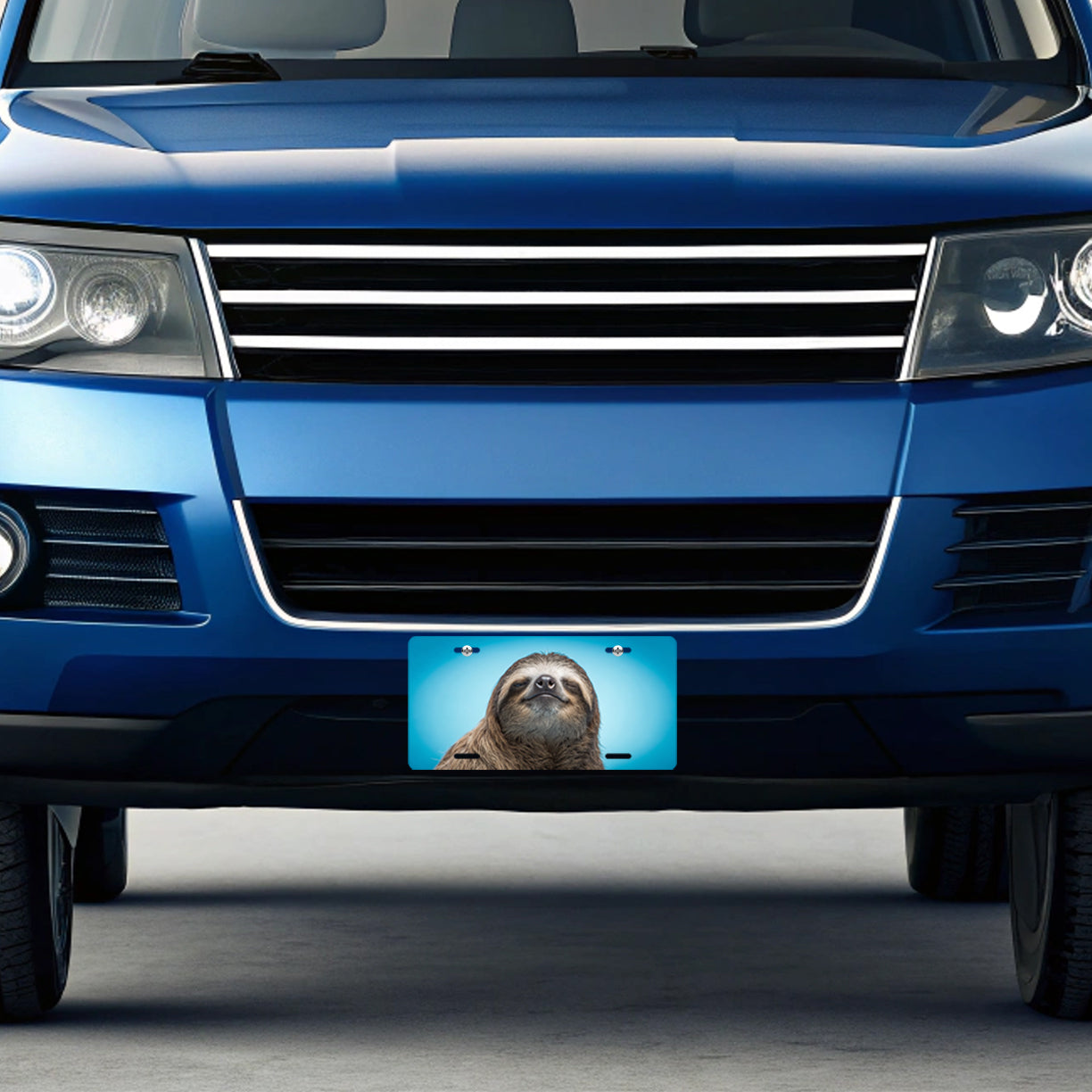 Sloth Face Blue Background Metal Vanity Novelty Tag License Plate for Trucks Cars SUVs