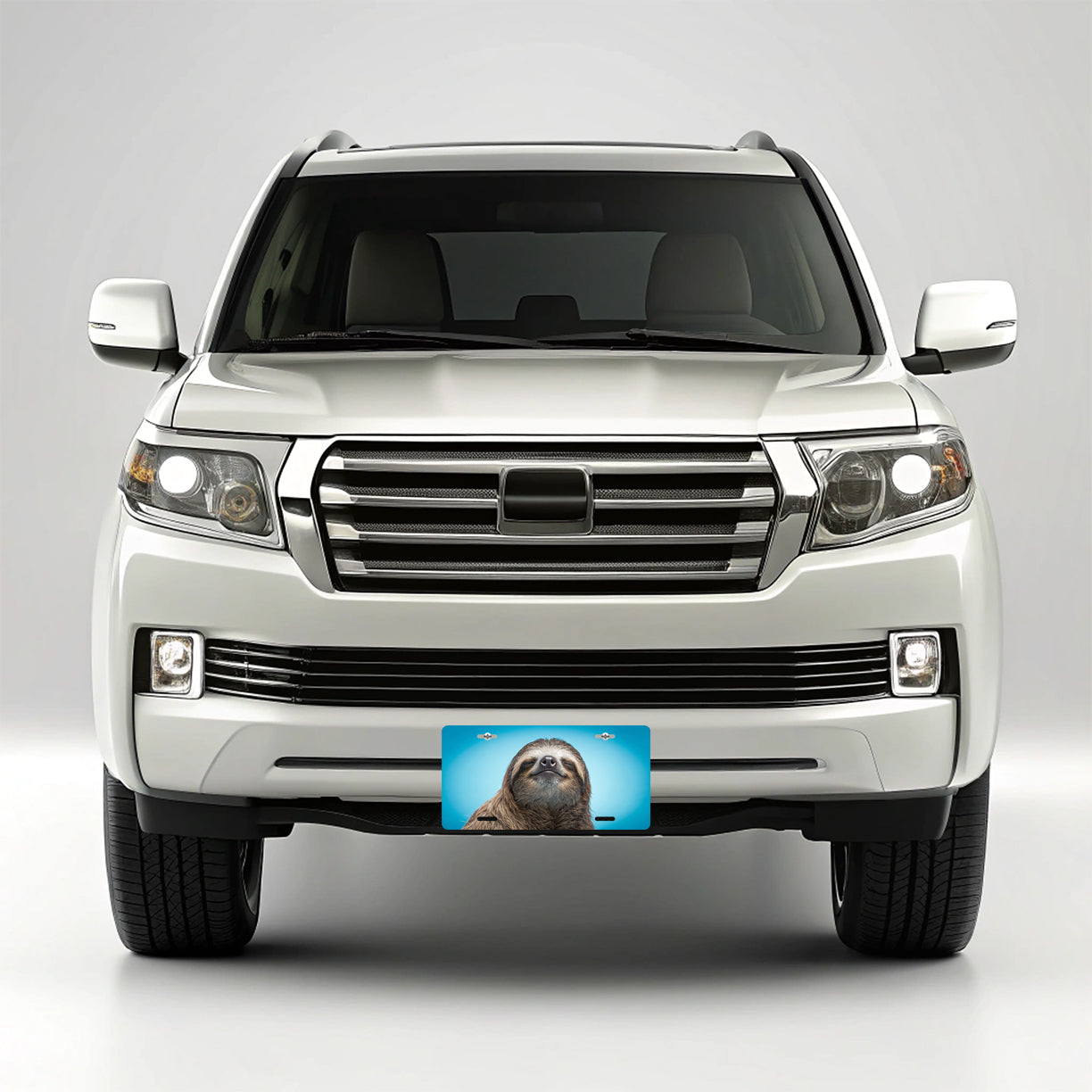 Sloth Face Blue Background Metal Vanity Novelty Tag License Plate for Trucks Cars SUVs