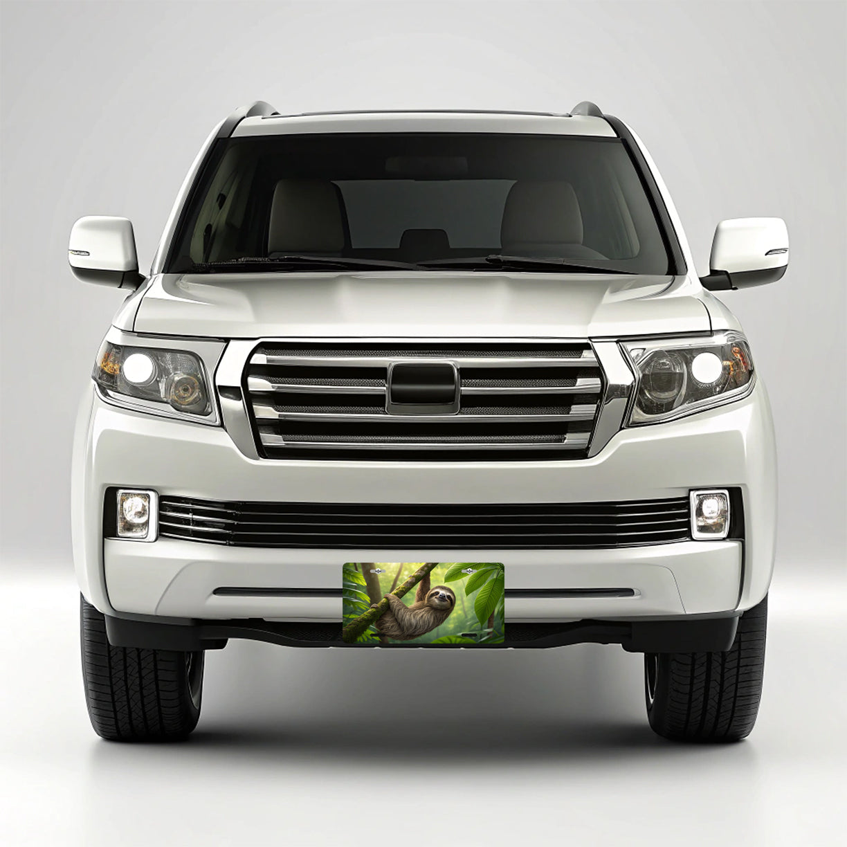 Sloth In Nature Metal Vanity Novelty Tag License Plate for Trucks Cars SUVs
