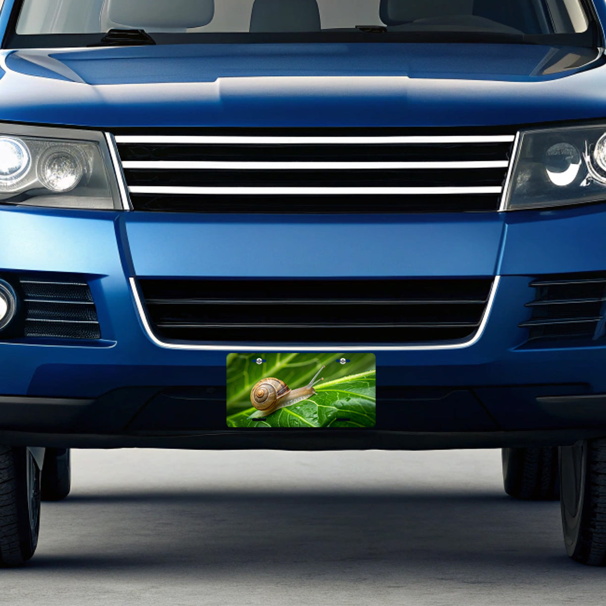 Snail On Leaf Metal Vanity Novelty Tag License Plate for Trucks Cars SUVs