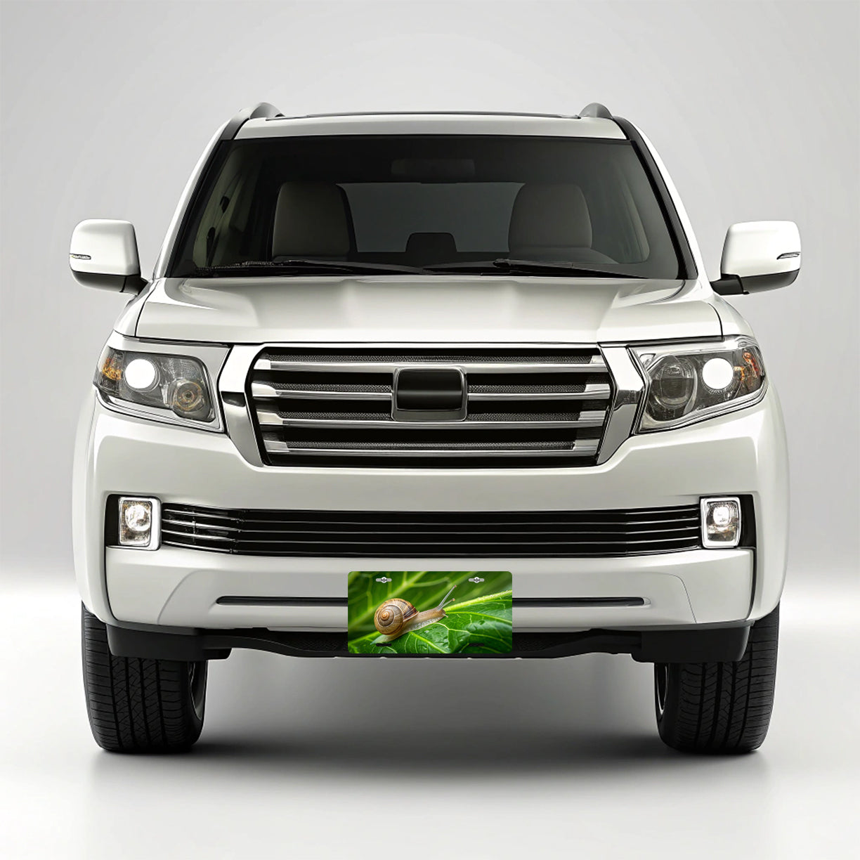 Snail On Leaf Metal Vanity Novelty Tag License Plate for Trucks Cars SUVs