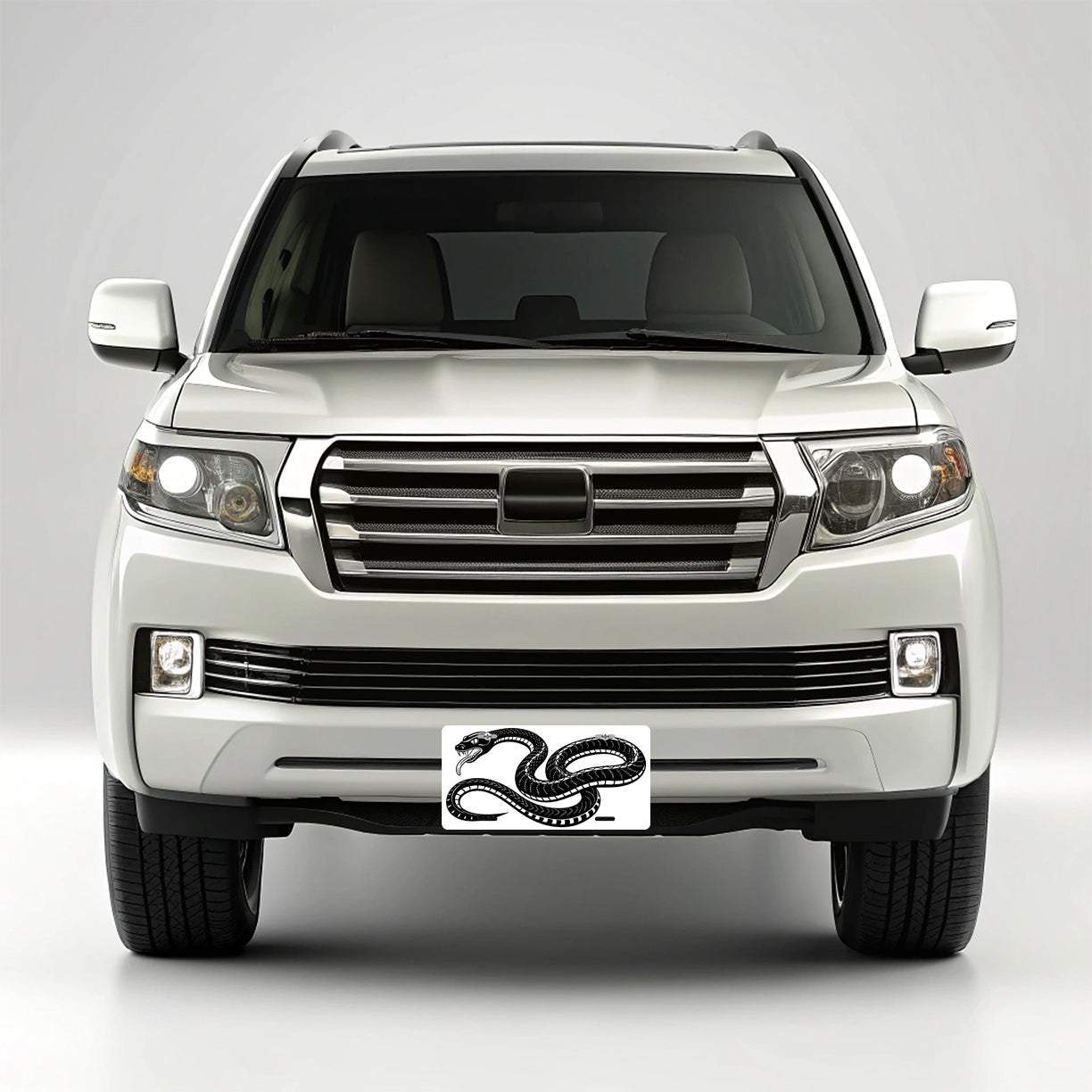 Snake Black White Metal Vanity Novelty Tag License Plate for Trucks Cars SUVs