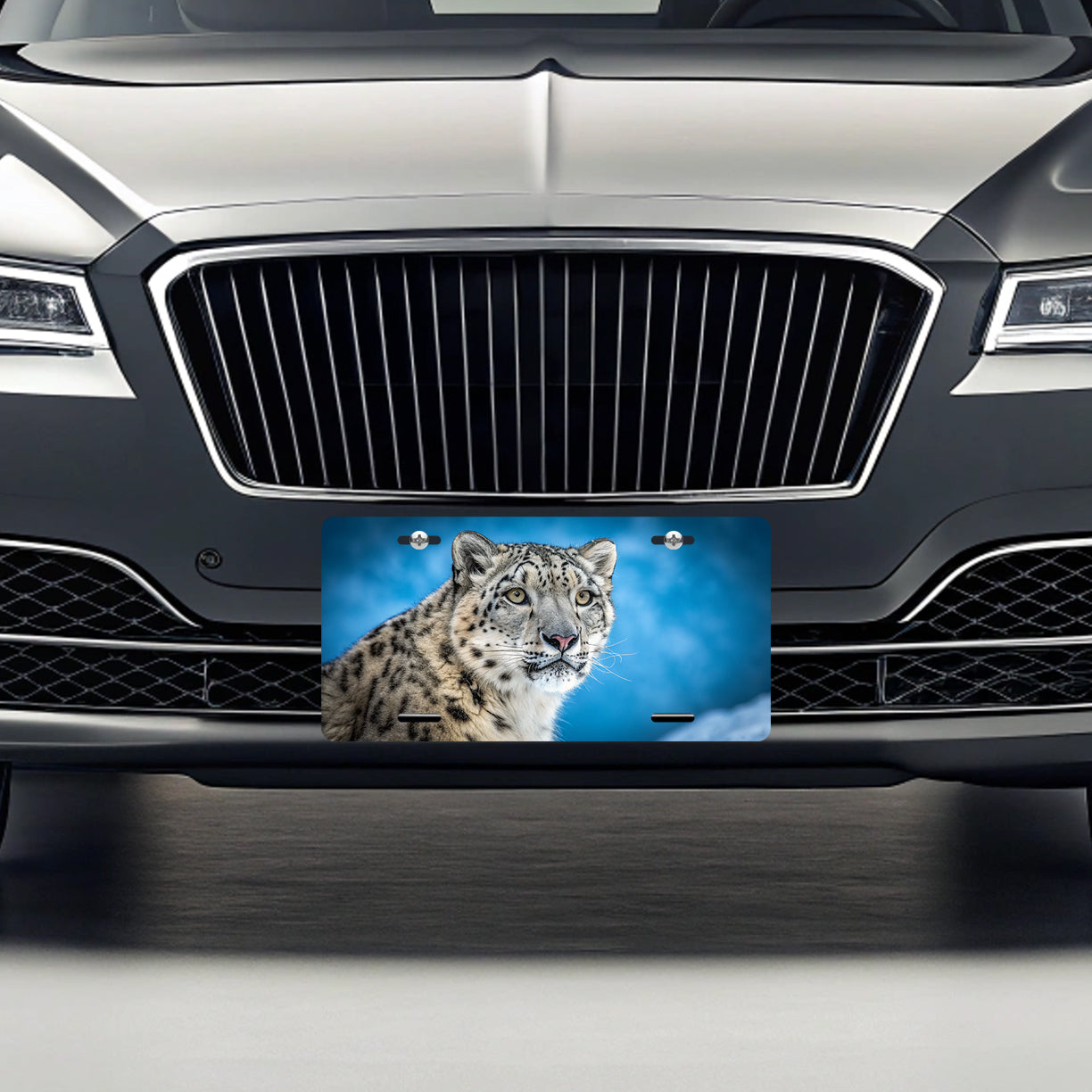 Snow Leopard Blue Background Metal Vanity Novelty Tag License Plate for Trucks Cars SUVs
