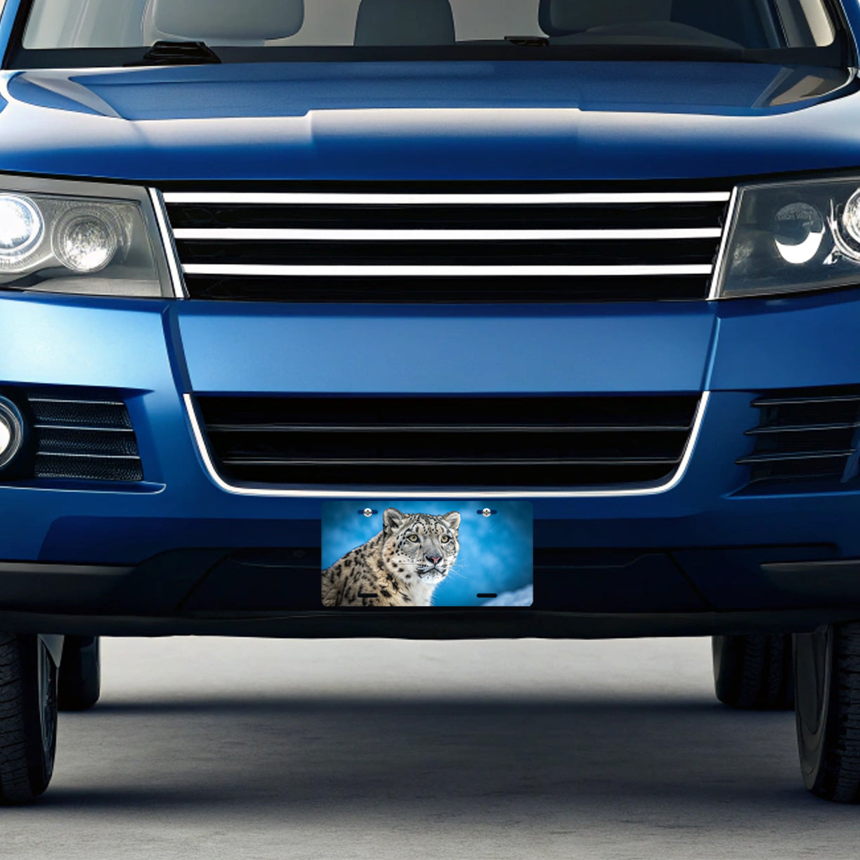 Snow Leopard Blue Background Metal Vanity Novelty Tag License Plate for Trucks Cars SUVs