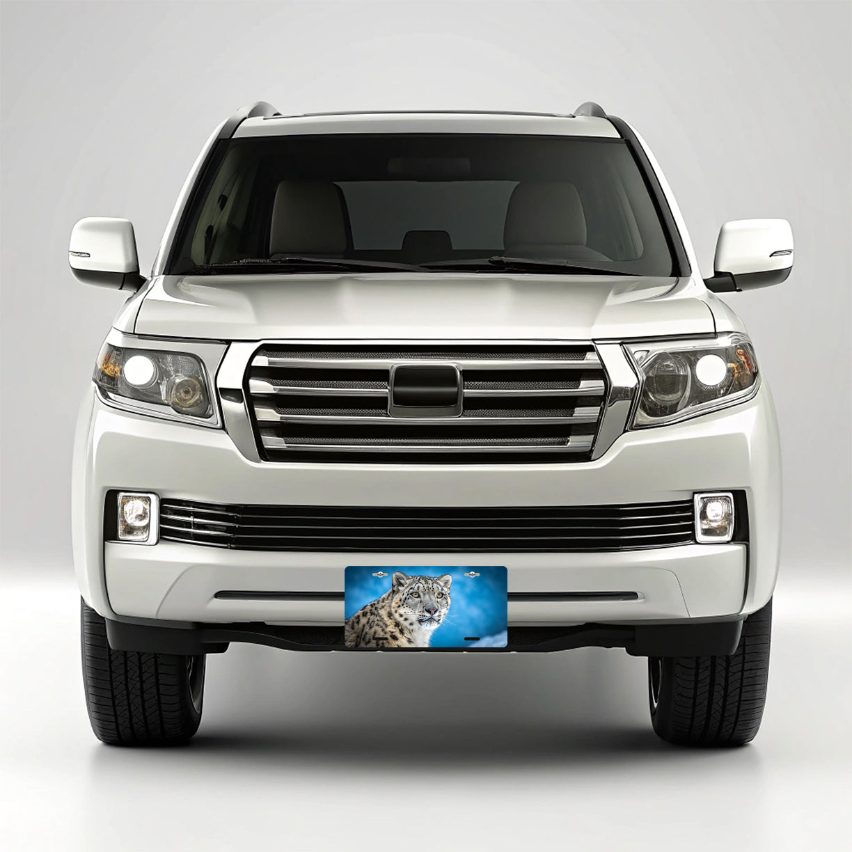 Snow Leopard Blue Background Metal Vanity Novelty Tag License Plate for Trucks Cars SUVs
