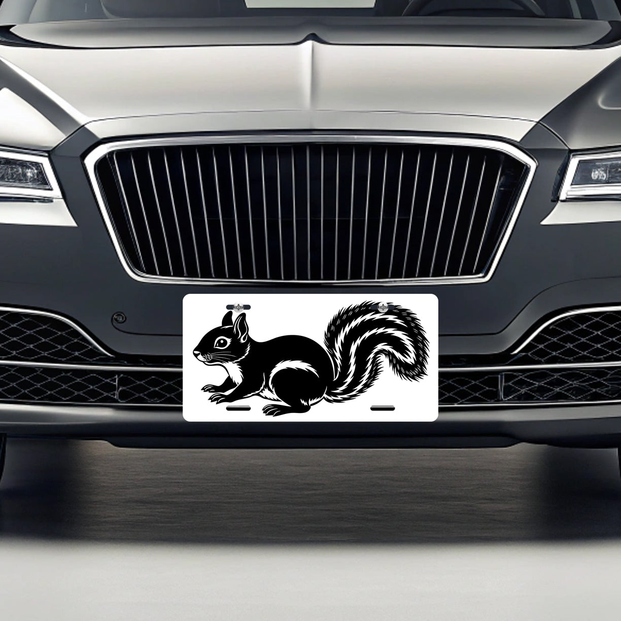 Squirrel Black White Metal Vanity Novelty Tag License Plate for Trucks Cars SUVs