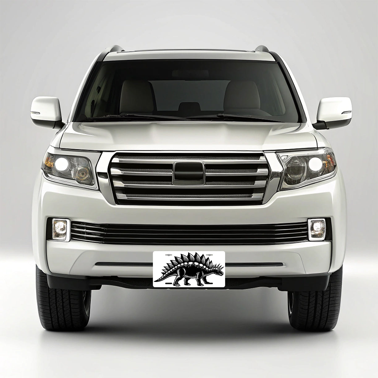 Stegosaurus Dinosaur Black White Metal Vanity Novelty Tag License Plate for Trucks Cars SUVs