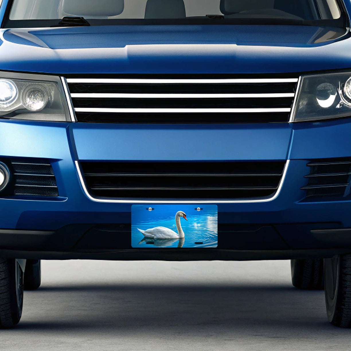Swan Blue Background Metal Vanity Novelty Tag License Plate for Trucks Cars SUVs