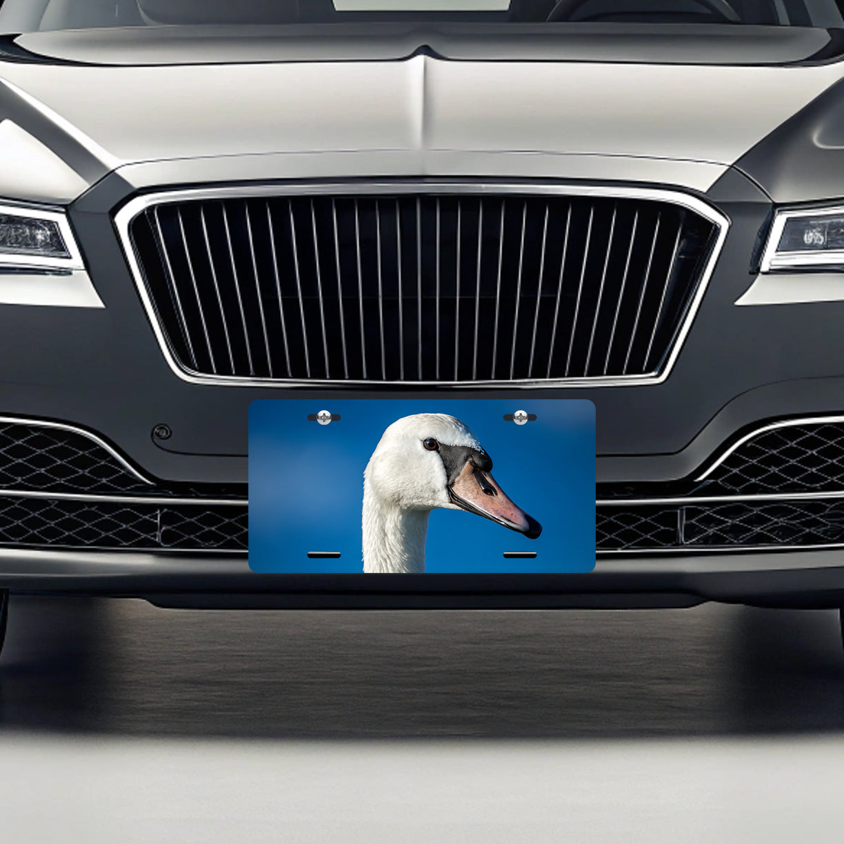 Swan Face Blue Background Metal Vanity Novelty Tag License Plate for Trucks Cars SUVs