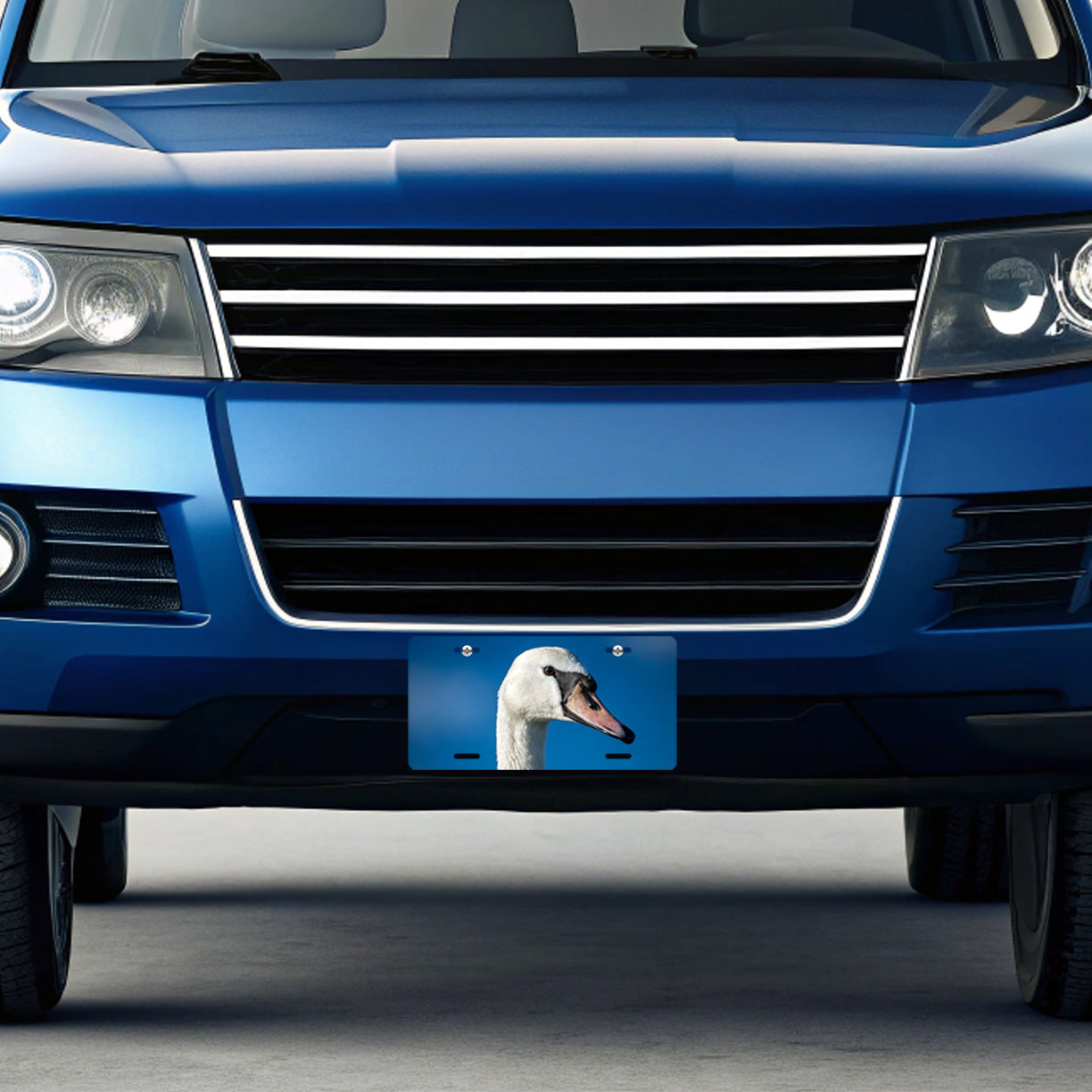 Swan Face Blue Background Metal Vanity Novelty Tag License Plate for Trucks Cars SUVs