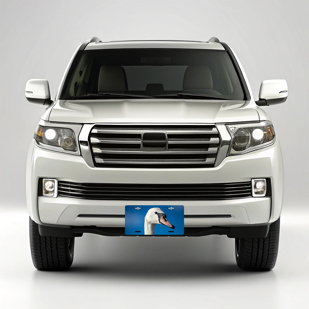 Swan Face Blue Background Metal Vanity Novelty Tag License Plate for Trucks Cars SUVs