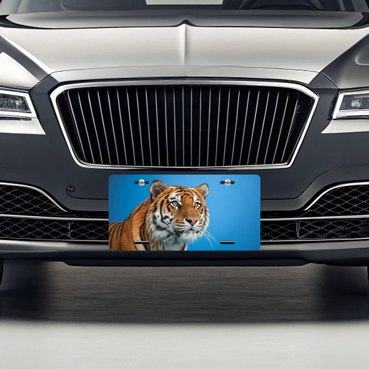 Tiger Face Blue Background Metal Vanity Novelty Tag License Plate for Trucks Cars SUVs