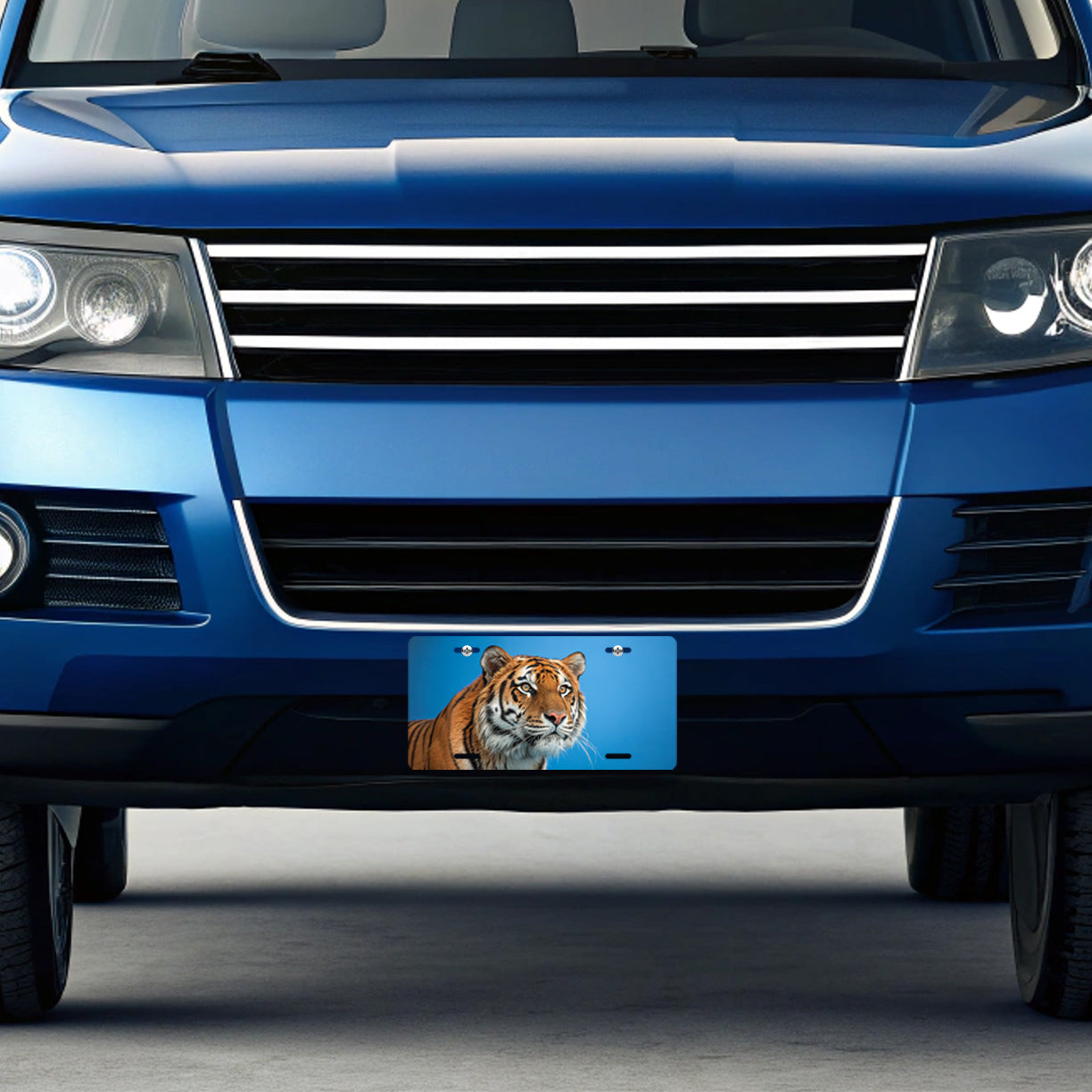 Tiger Face Blue Background Metal Vanity Novelty Tag License Plate for Trucks Cars SUVs