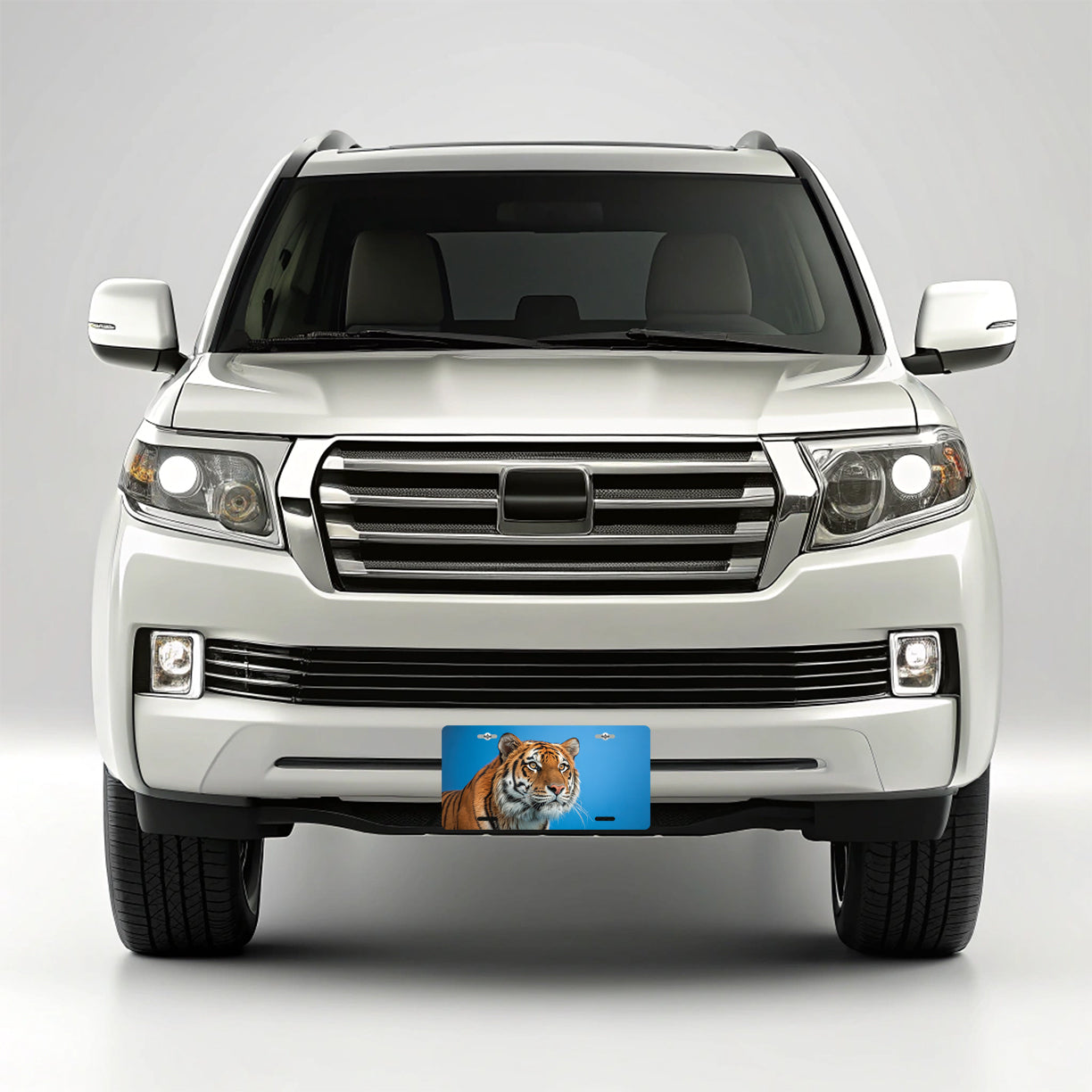 Tiger Face Blue Background Metal Vanity Novelty Tag License Plate for Trucks Cars SUVs