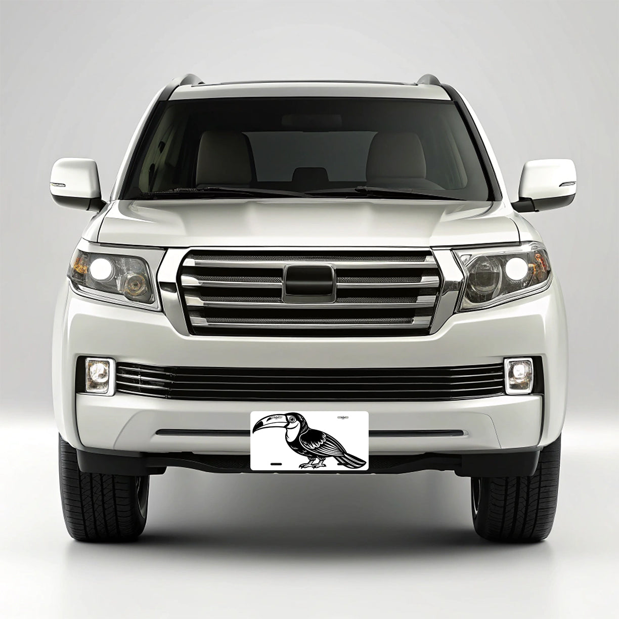 Toucan Black White Metal Vanity Novelty Tag License Plate for Trucks Cars SUVs