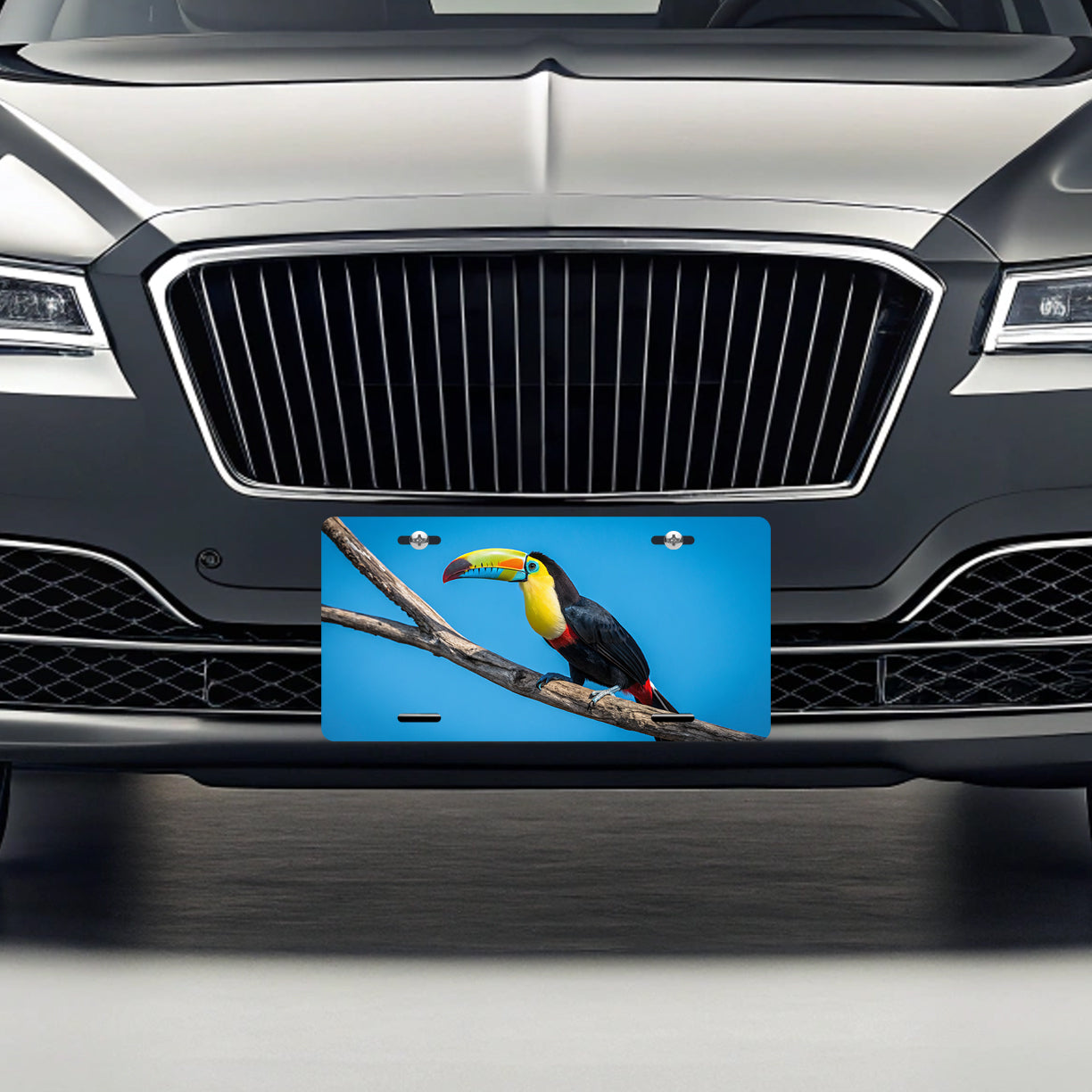 Toucan Blue Background Metal Vanity Novelty Tag License Plate for Trucks Cars SUVs