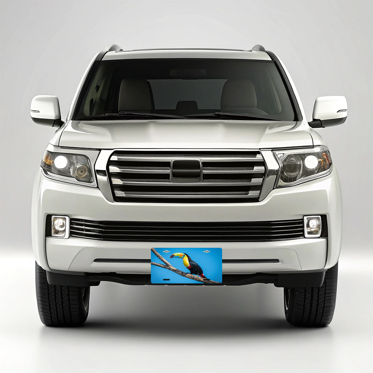 Toucan Blue Background Metal Vanity Novelty Tag License Plate for Trucks Cars SUVs