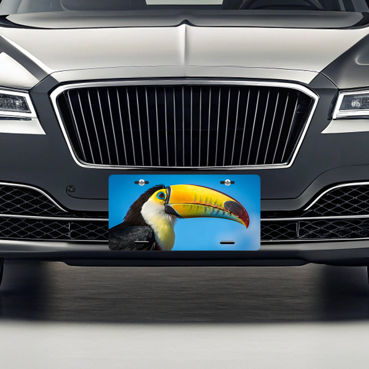 Toucan Face Blue Background Metal Vanity Novelty Tag License Plate for Trucks Cars SUVs