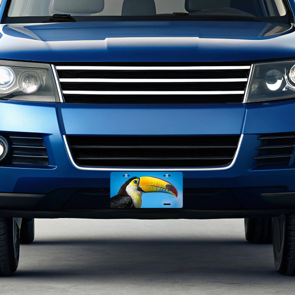Toucan Face Blue Background Metal Vanity Novelty Tag License Plate for Trucks Cars SUVs