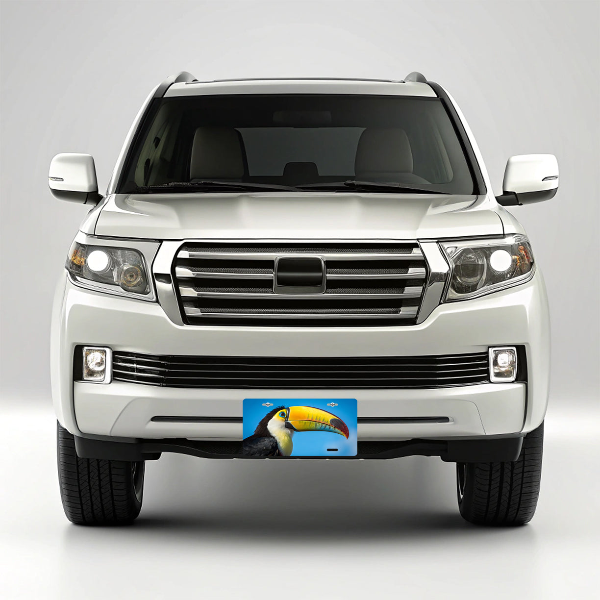 Toucan Face Blue Background Metal Vanity Novelty Tag License Plate for Trucks Cars SUVs