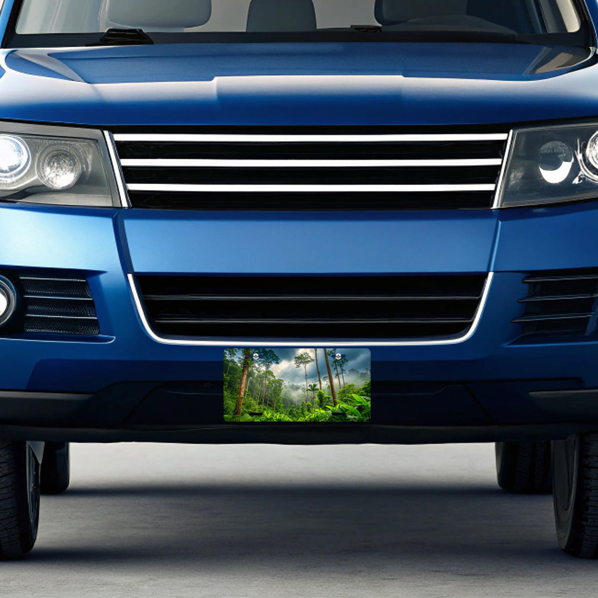 Tropical Rain Forest Metal Vanity Novelty Tag License Plate for Trucks Cars SUVs