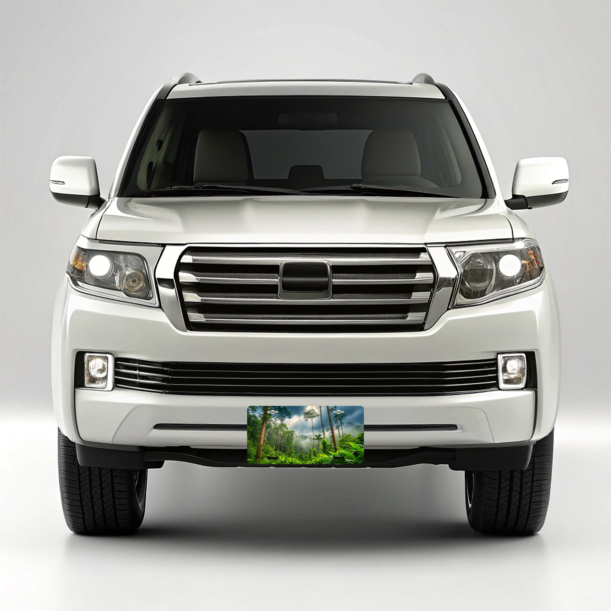 Tropical Rain Forest Metal Vanity Novelty Tag License Plate for Trucks Cars SUVs