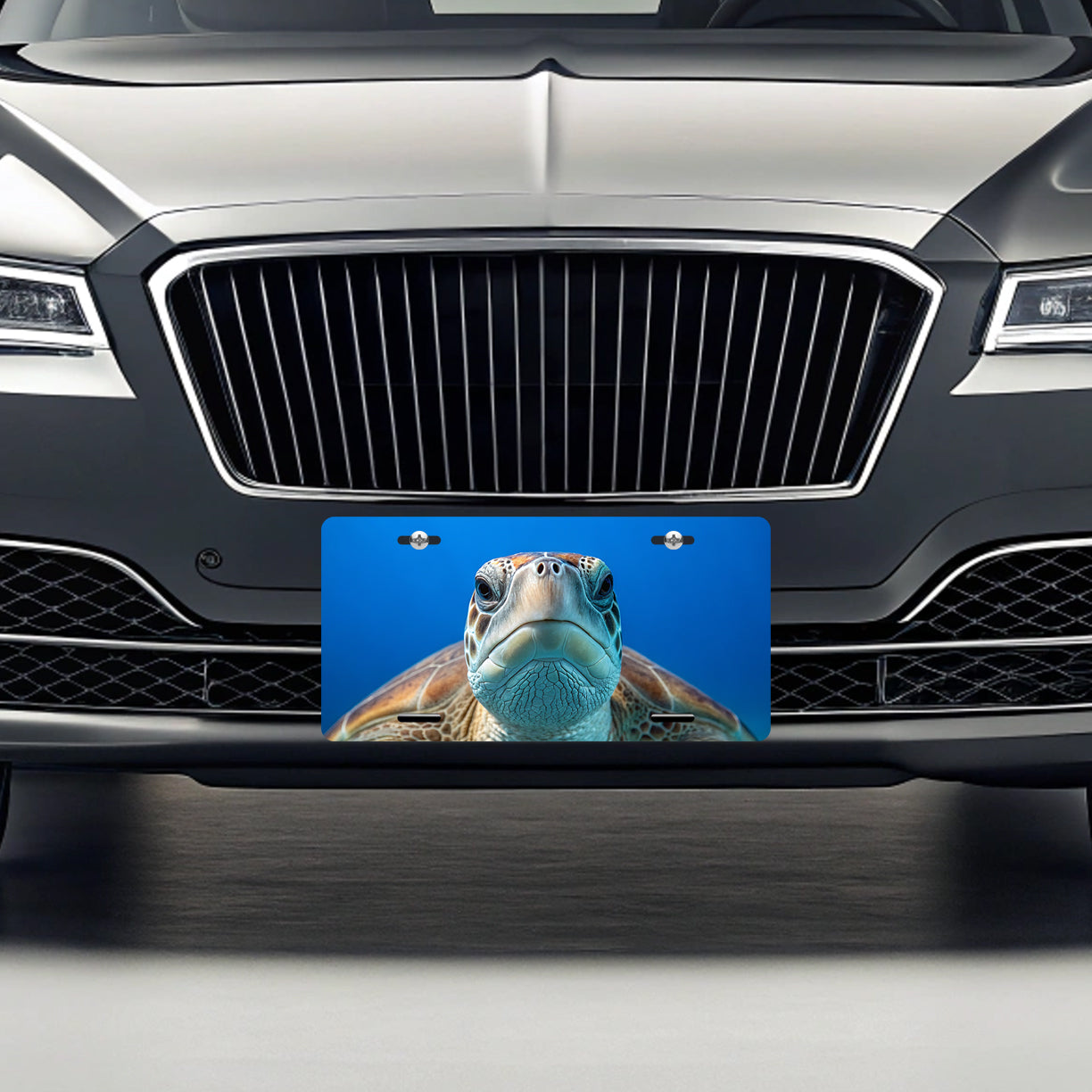 Turtle Face Blue Background Metal Vanity Novelty Tag License Plate for Trucks Cars SUVs