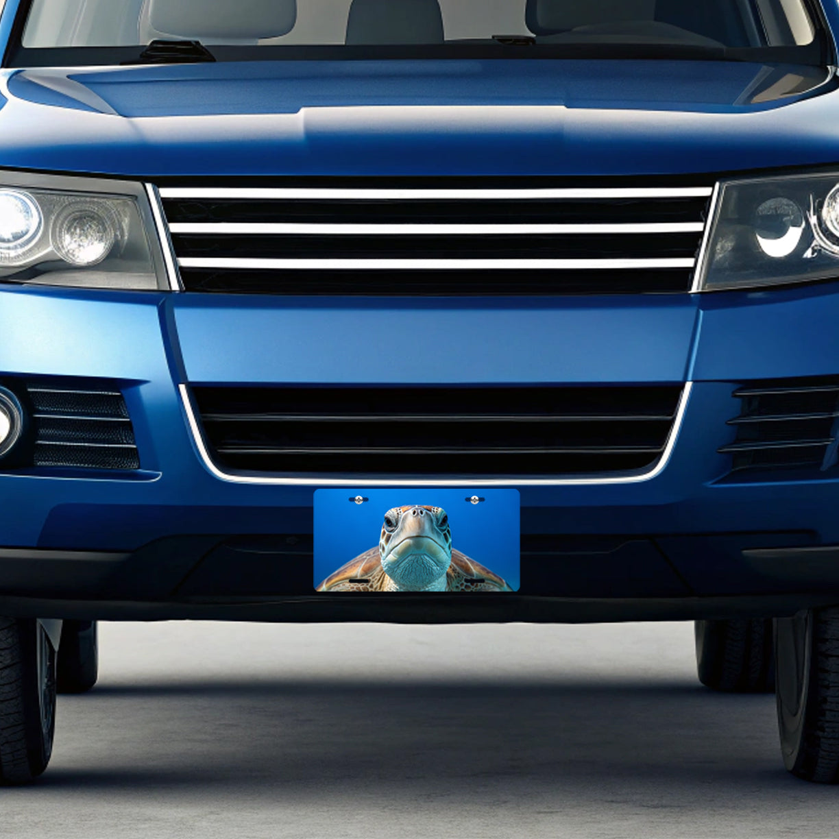 Turtle Face Blue Background Metal Vanity Novelty Tag License Plate for Trucks Cars SUVs