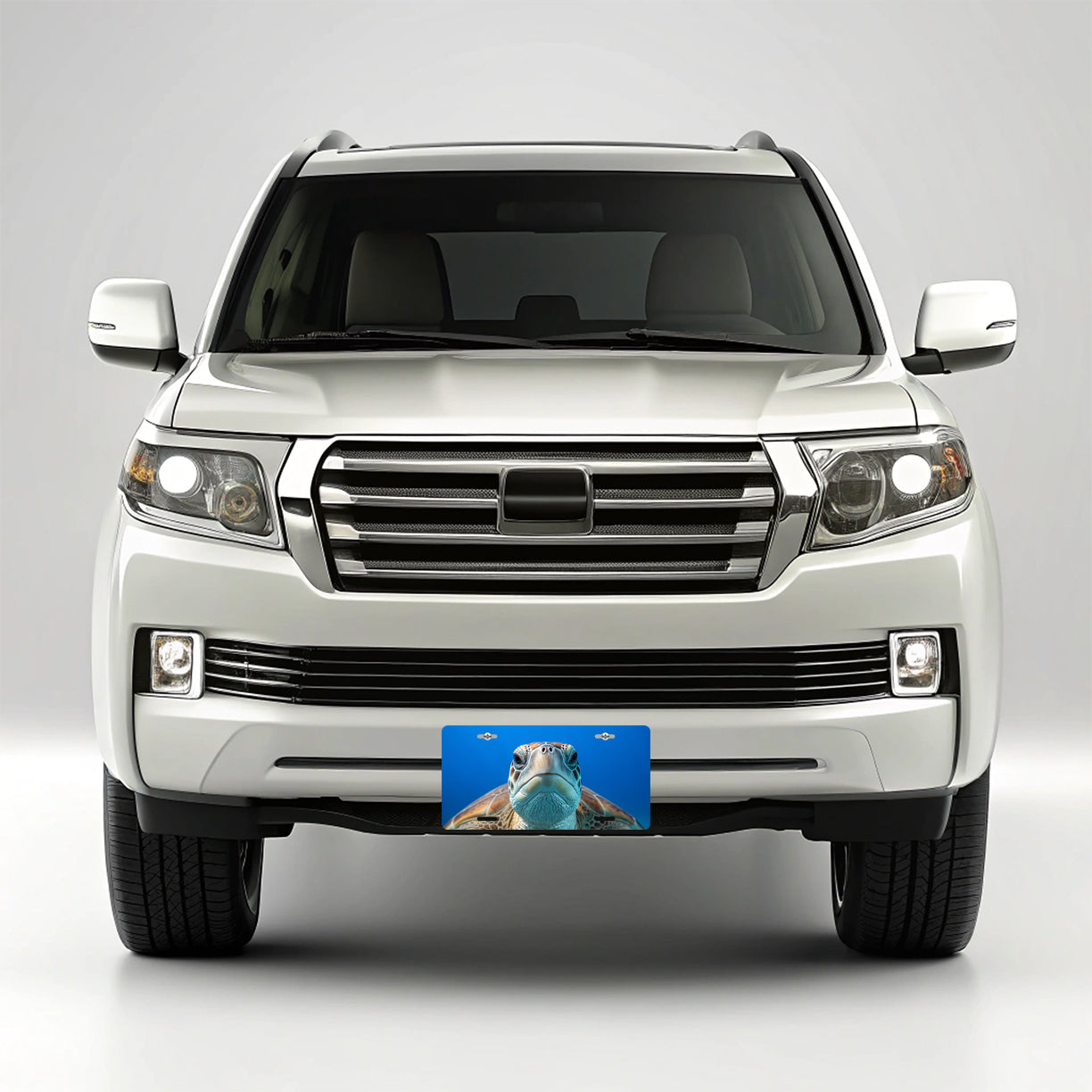 Turtle Face Blue Background Metal Vanity Novelty Tag License Plate for Trucks Cars SUVs